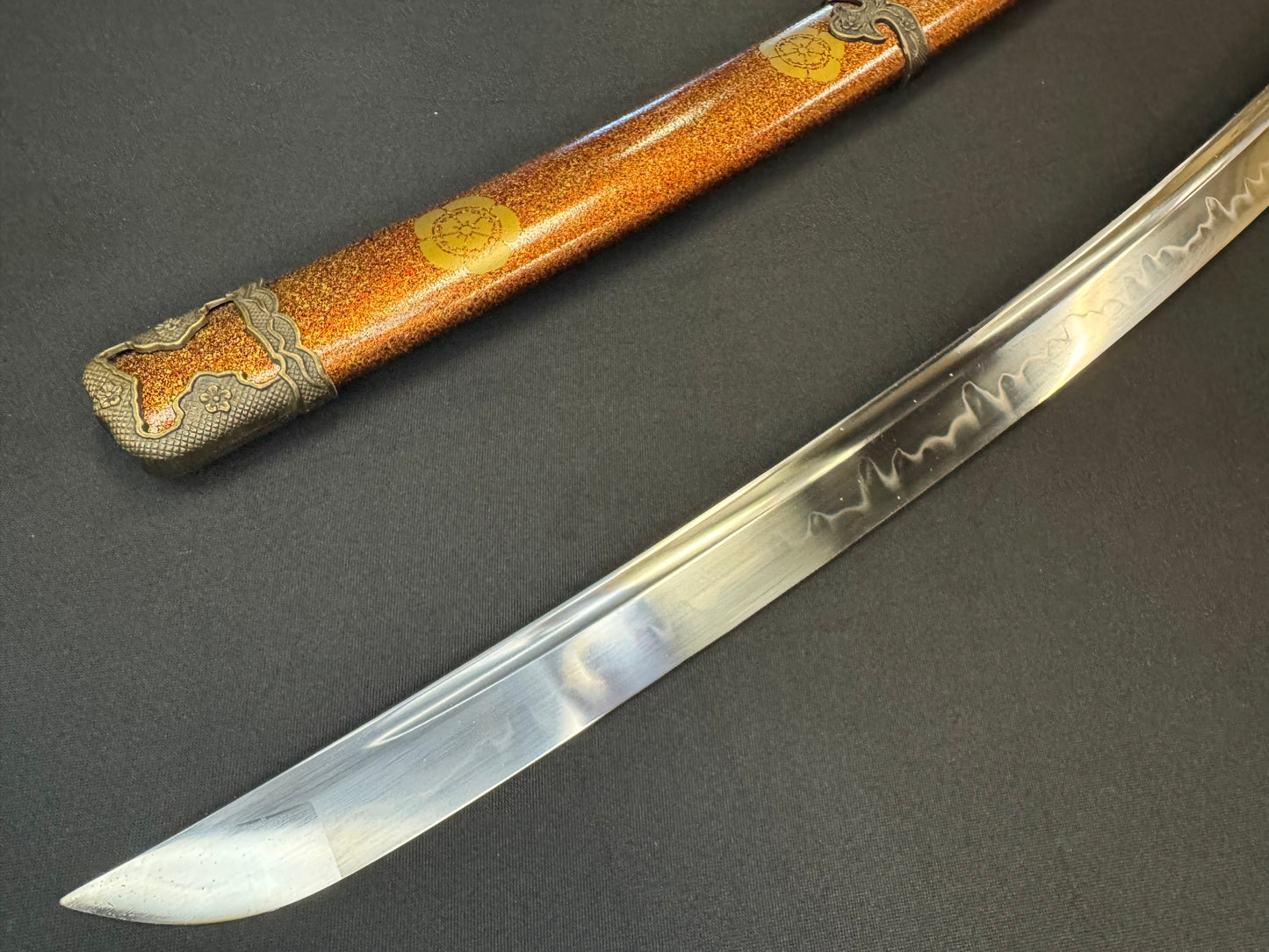 Shogun Arms Tachi - Battle Scout T10