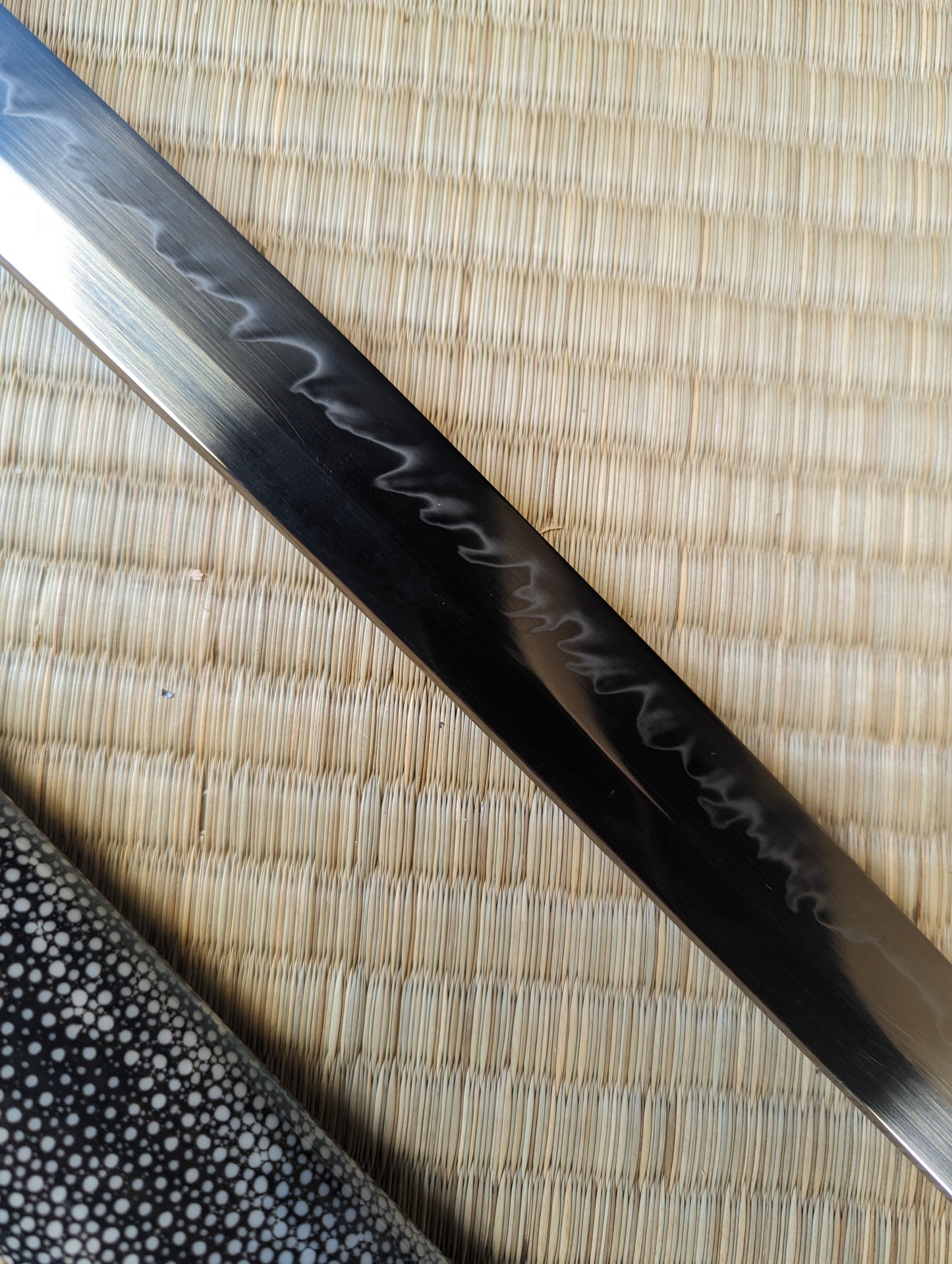 Phoenix Arms Spring Night Katana