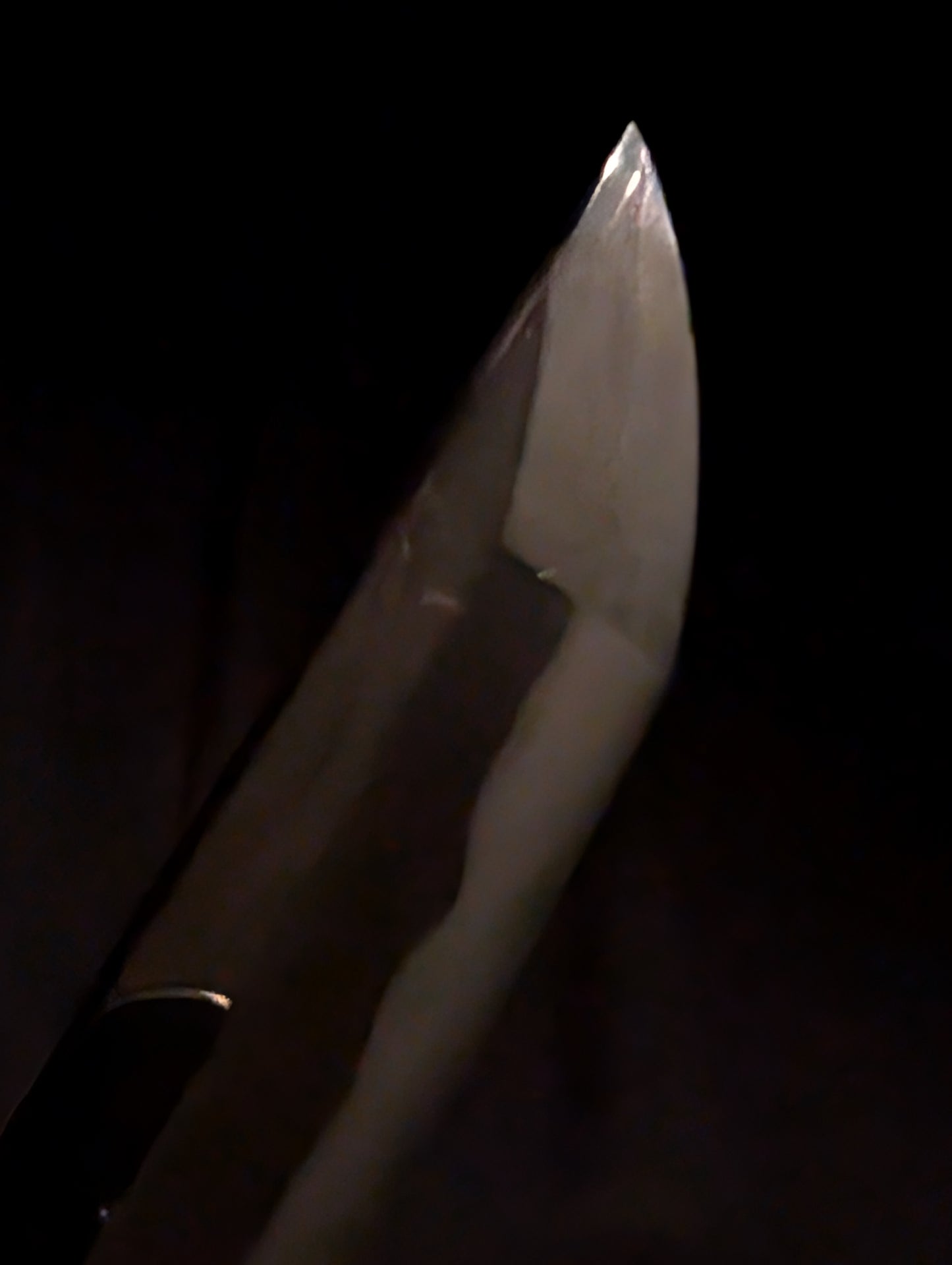 Antique Nihonto - Katana in Koshirae, Late Muromachi (400-500 years old) - NBTHK Hozon Attributed to Kaifu