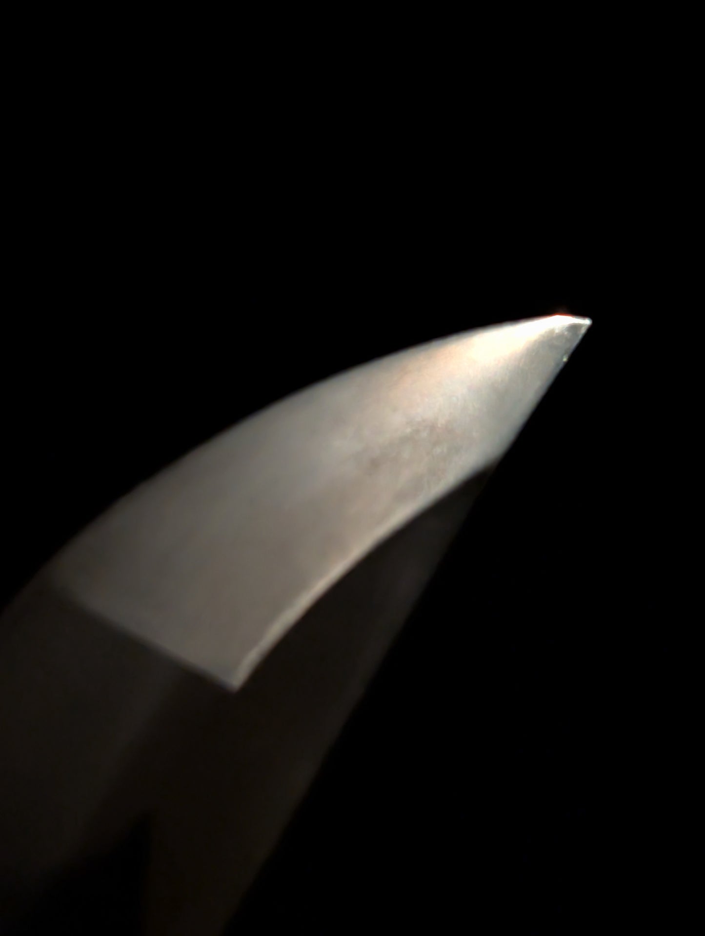 Antique Nihonto - Wakizashi in Shirasaya - Early Edo(350 years old), NBTHK attributed to Kaneyasu