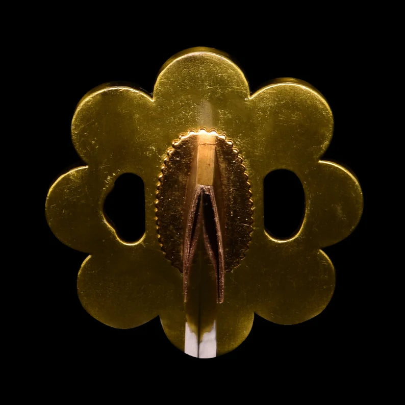 Katana - One Piece Shusui - 1060 Steel