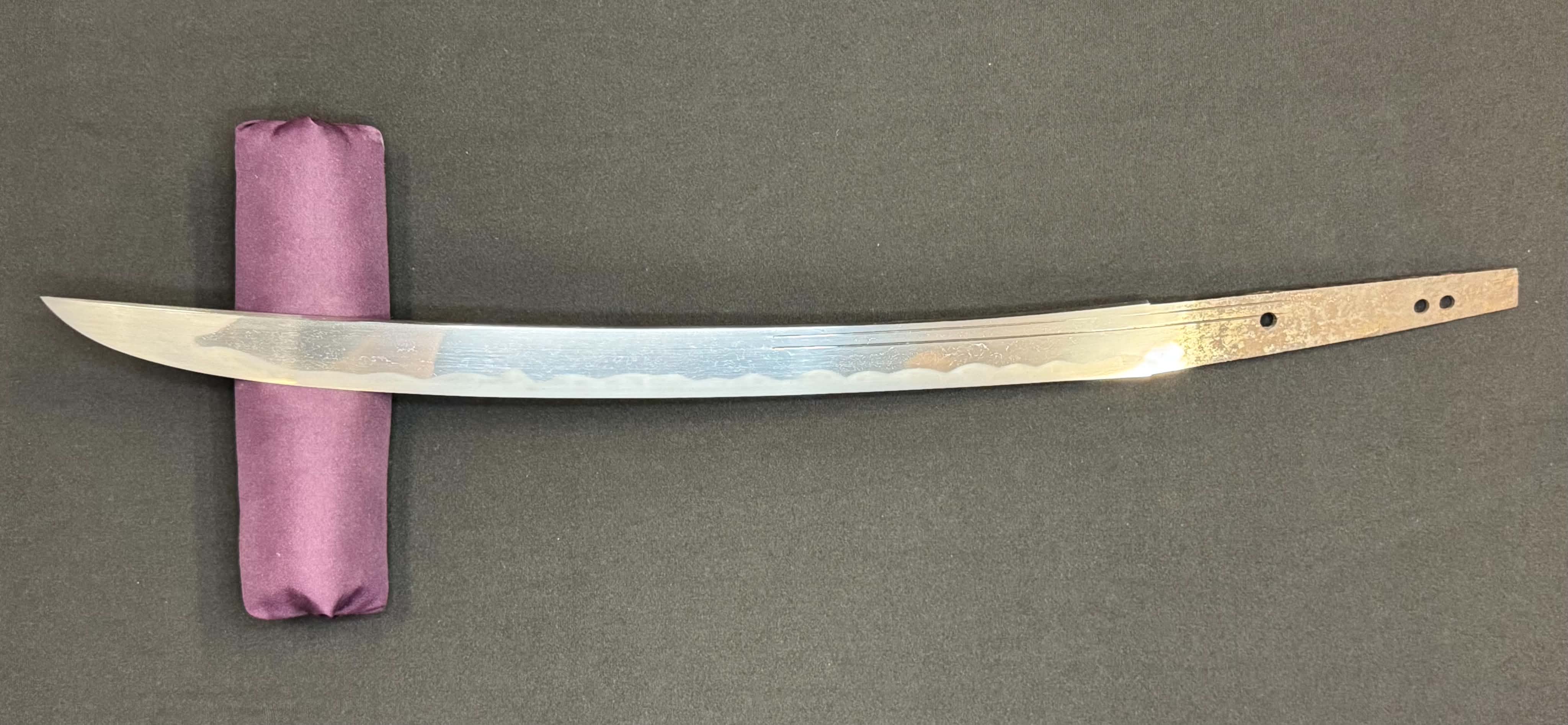 Antique Nihonto - Wakizashi with Koshirae, Signed Kanenori, NBTHK certified