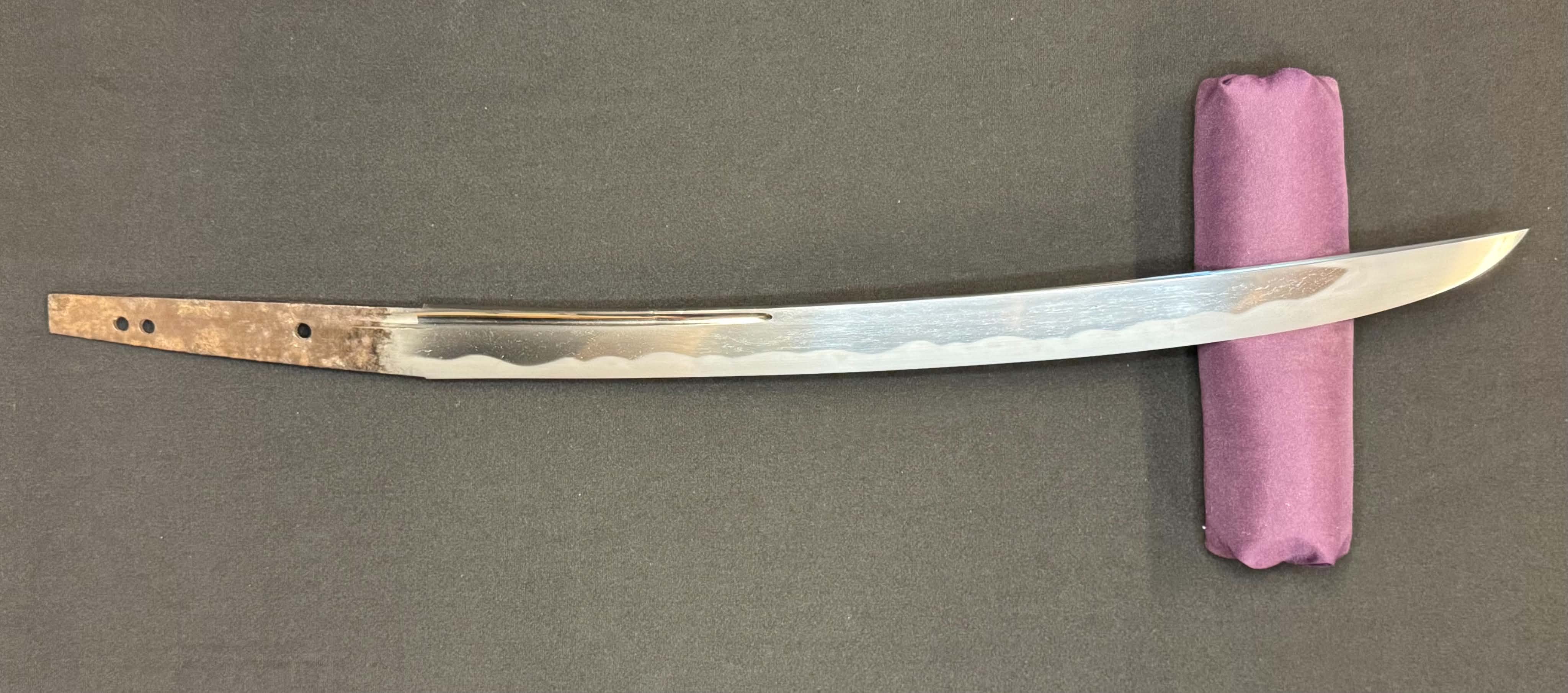 Antique Nihonto - Wakizashi with Koshirae, Signed Kanenori, NBTHK certified