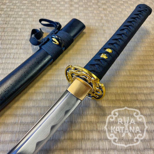 Dragonspring Katana - Black Samurai - 1060 Steel