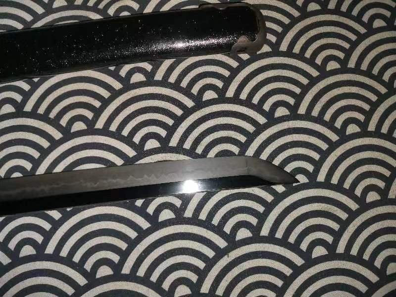 Cloudhammer Katana - Hidden Dragon, Dragon Sakura - sx105v Japanese Tool Steel - Ko-Choji Hamon
