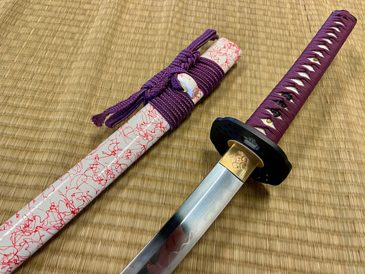 Practitioner Line of Japanese Swords – Page 2 – RVA Katana