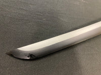Demon Slayer Kimetsu no Yaiba Tanjiro Nichirin Katana