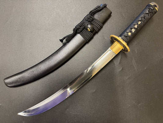 Dragonspring Forge Wakizashi -  Black Dragon Naginata Naoshi T10