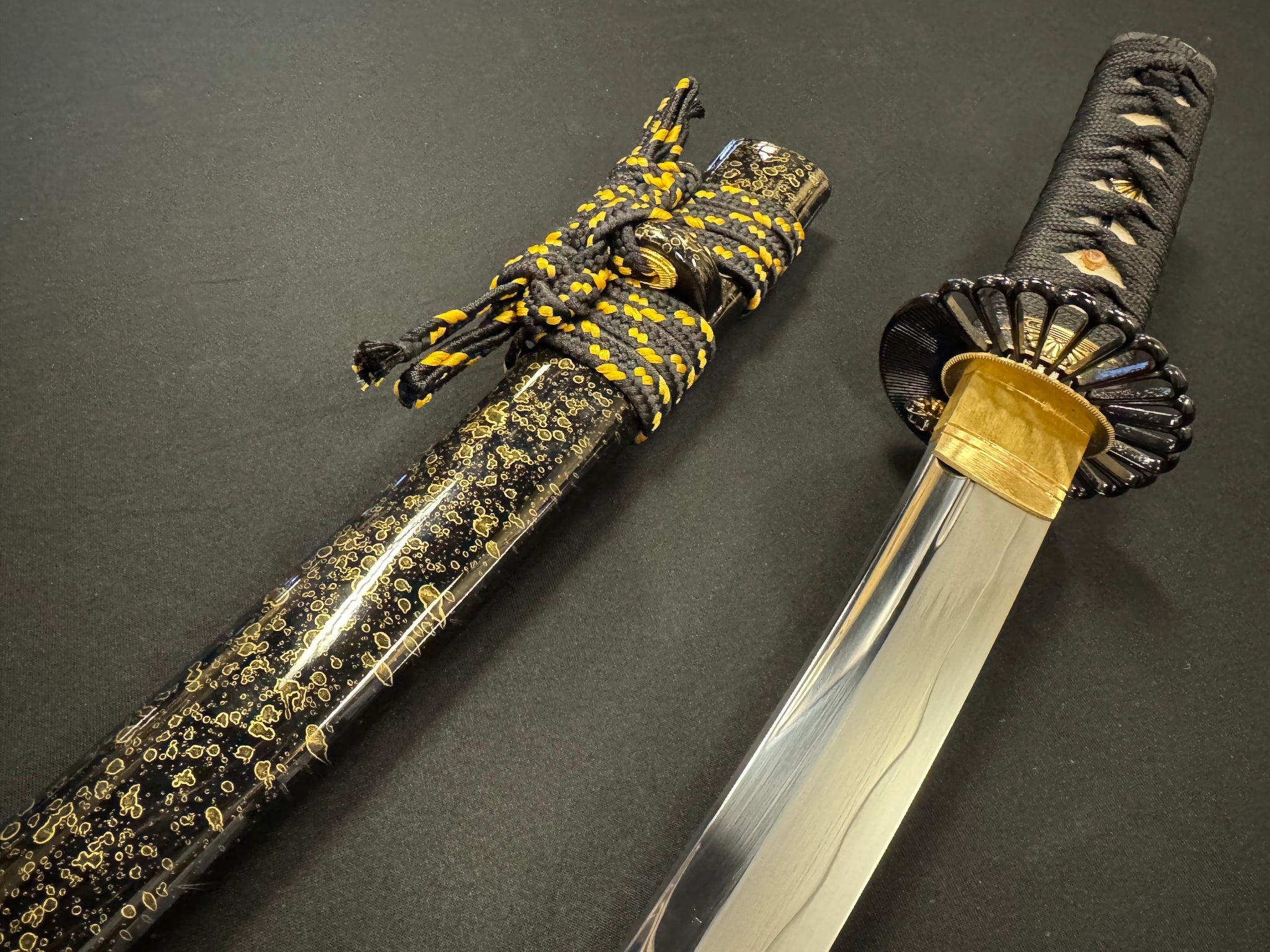 Legacy Steel Tanto - Chrysanthemum Waves T10 Shobu Zukuri