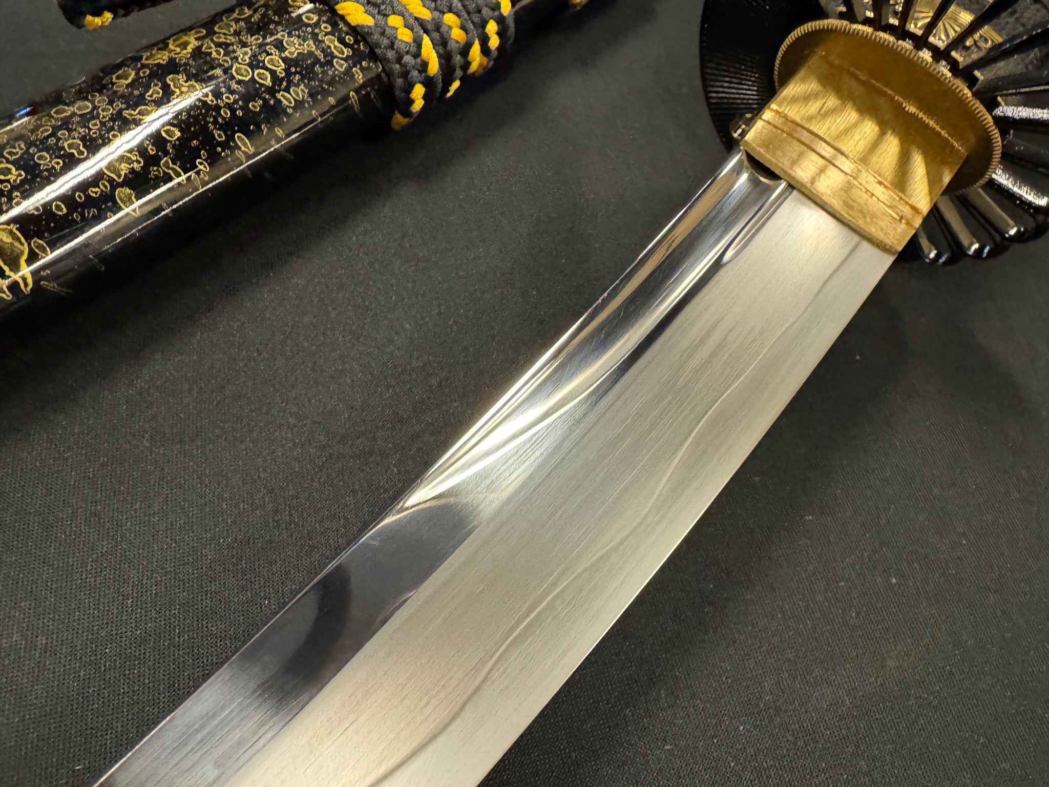 Legacy Steel Tanto - Chrysanthemum Waves T10 Shobu Zukuri