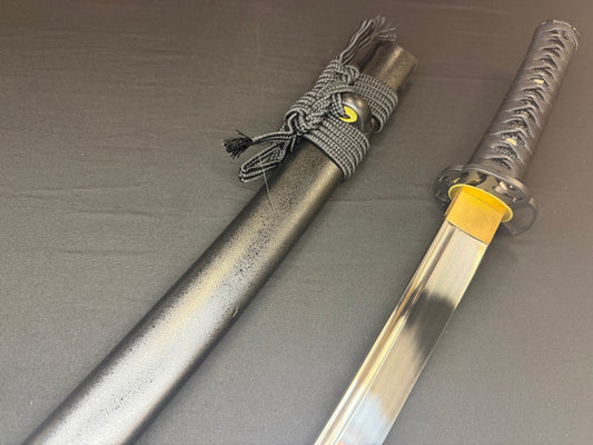 Phoenix Armory Wakizashi - Featherlight Martial Mastery 65mn