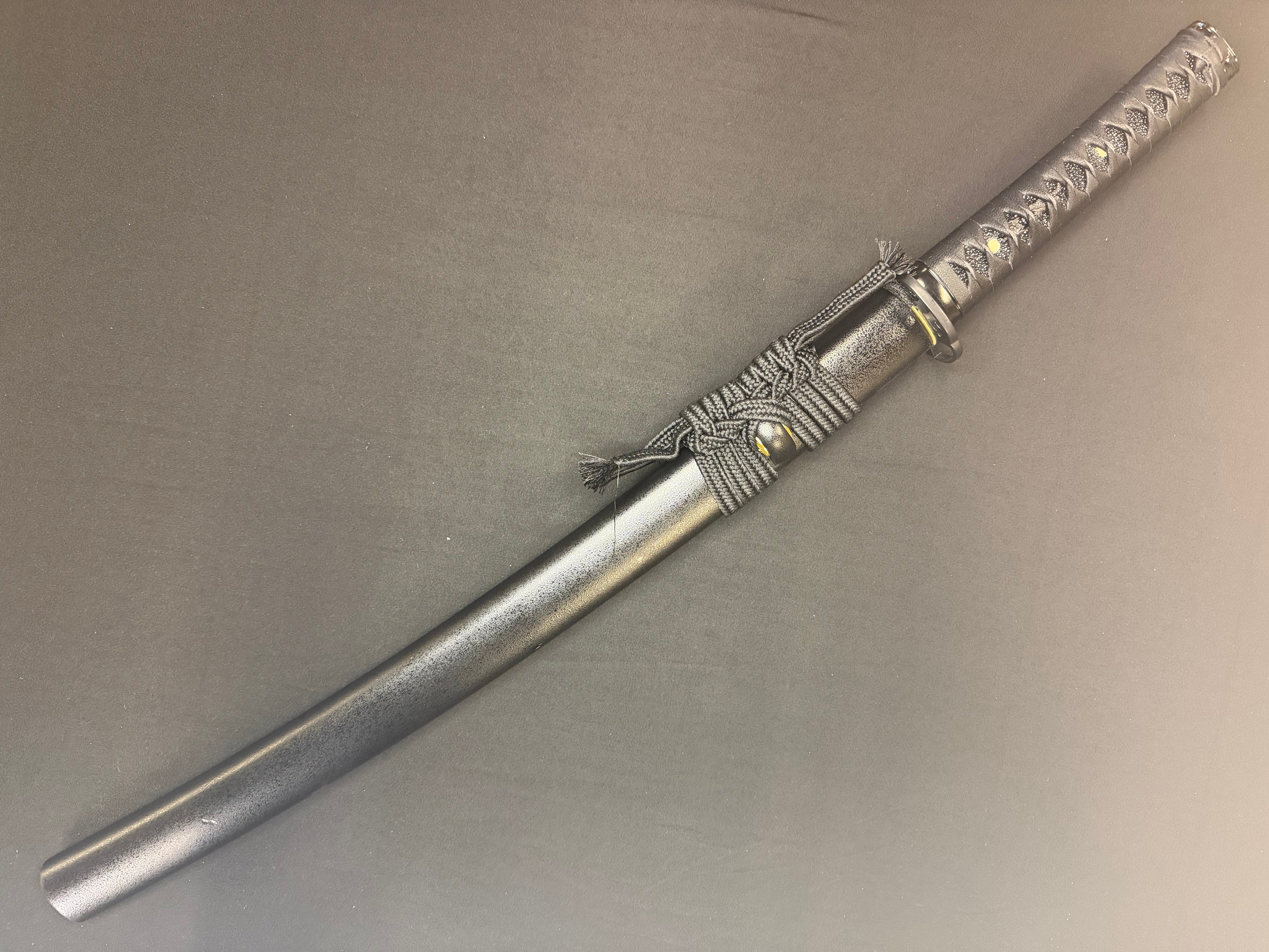 Phoenix Armory Wakizashi - Featherlight Martial Mastery 65mn