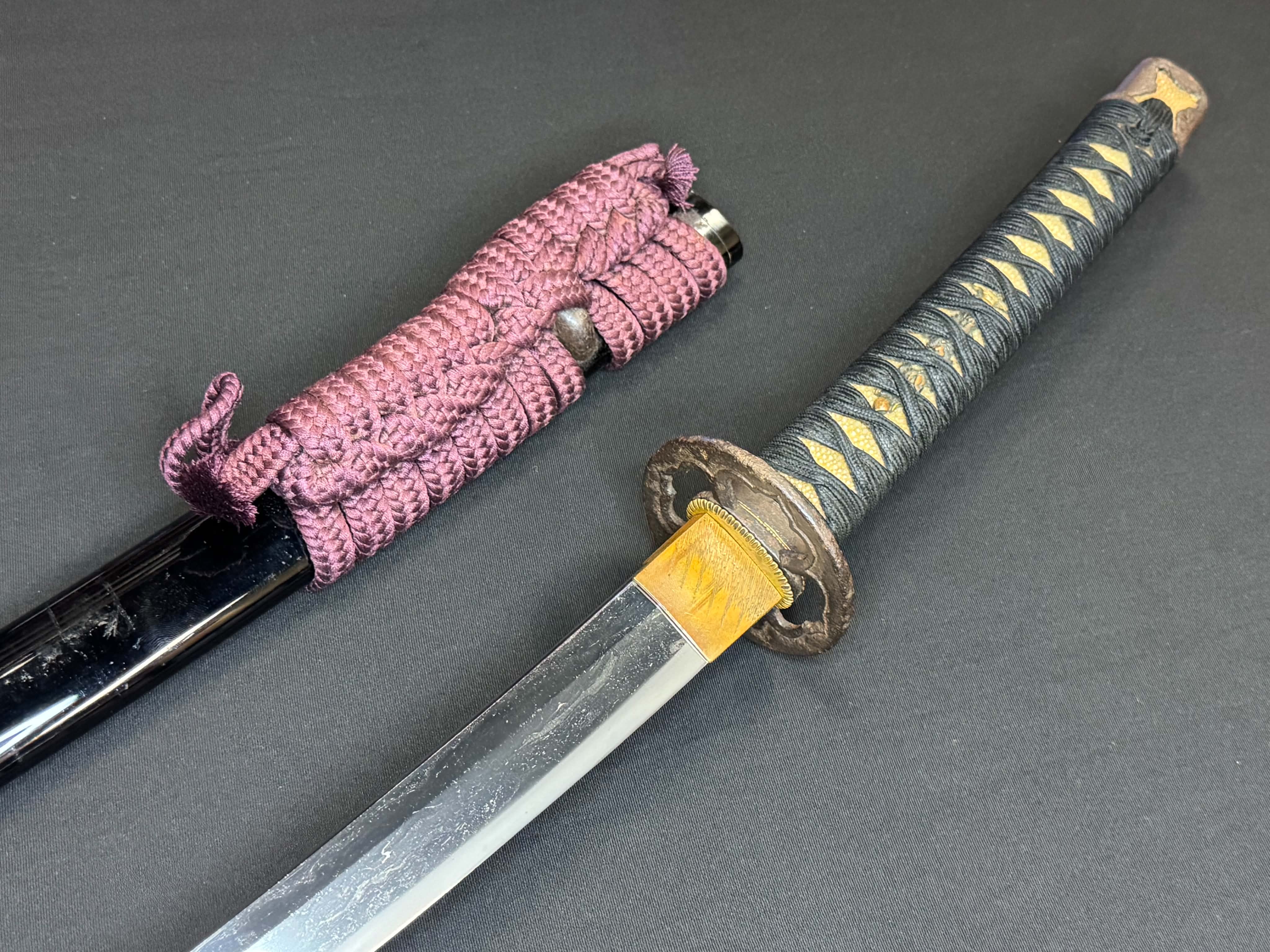 Antique Nihonto - HUGE Katana in Handachi Koshirae - Early Muromachi (600 years old) - NBTHK Attributed to Latter Hoju