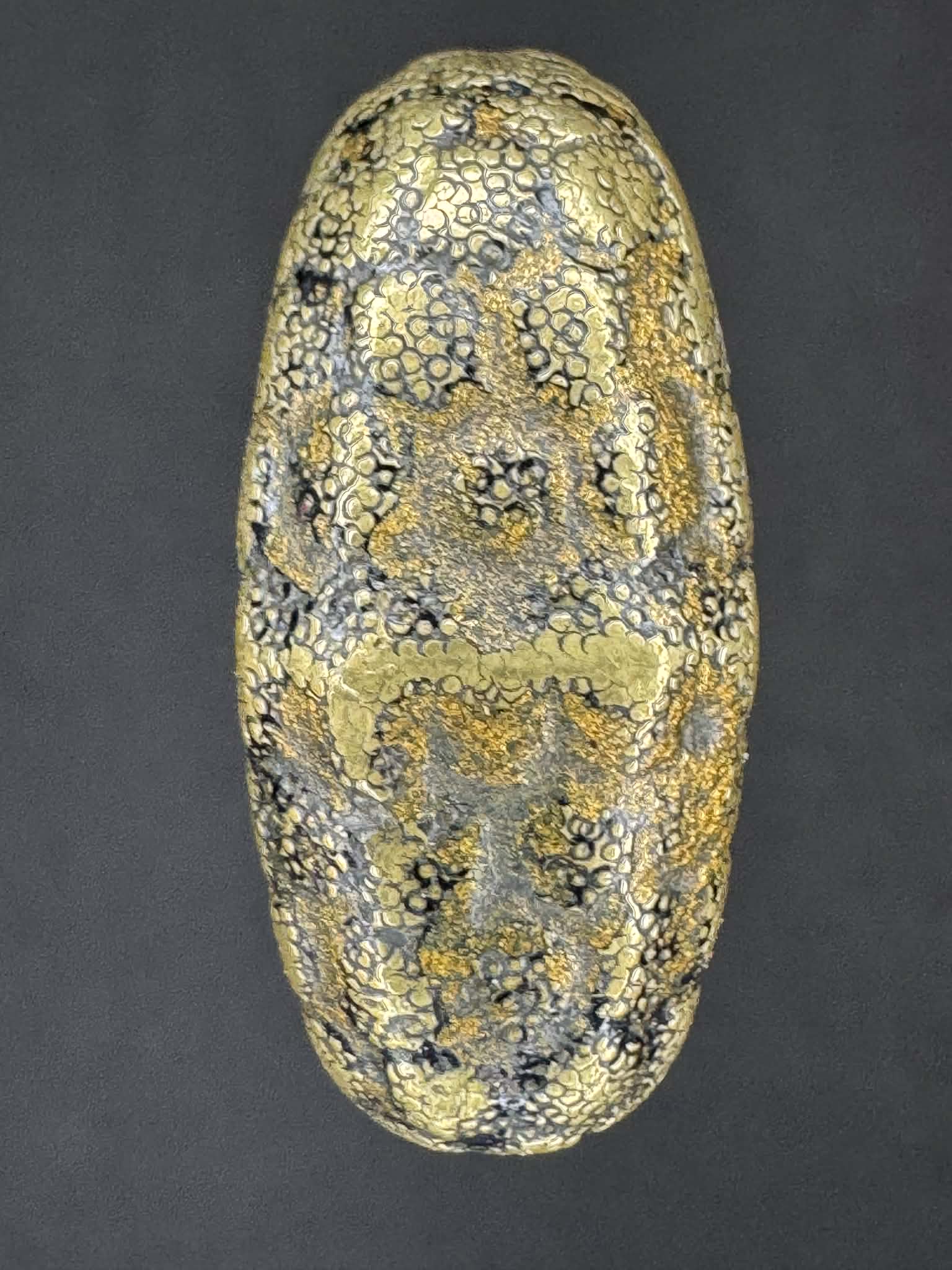 Antique Nihonto -  Katana in Koshirae