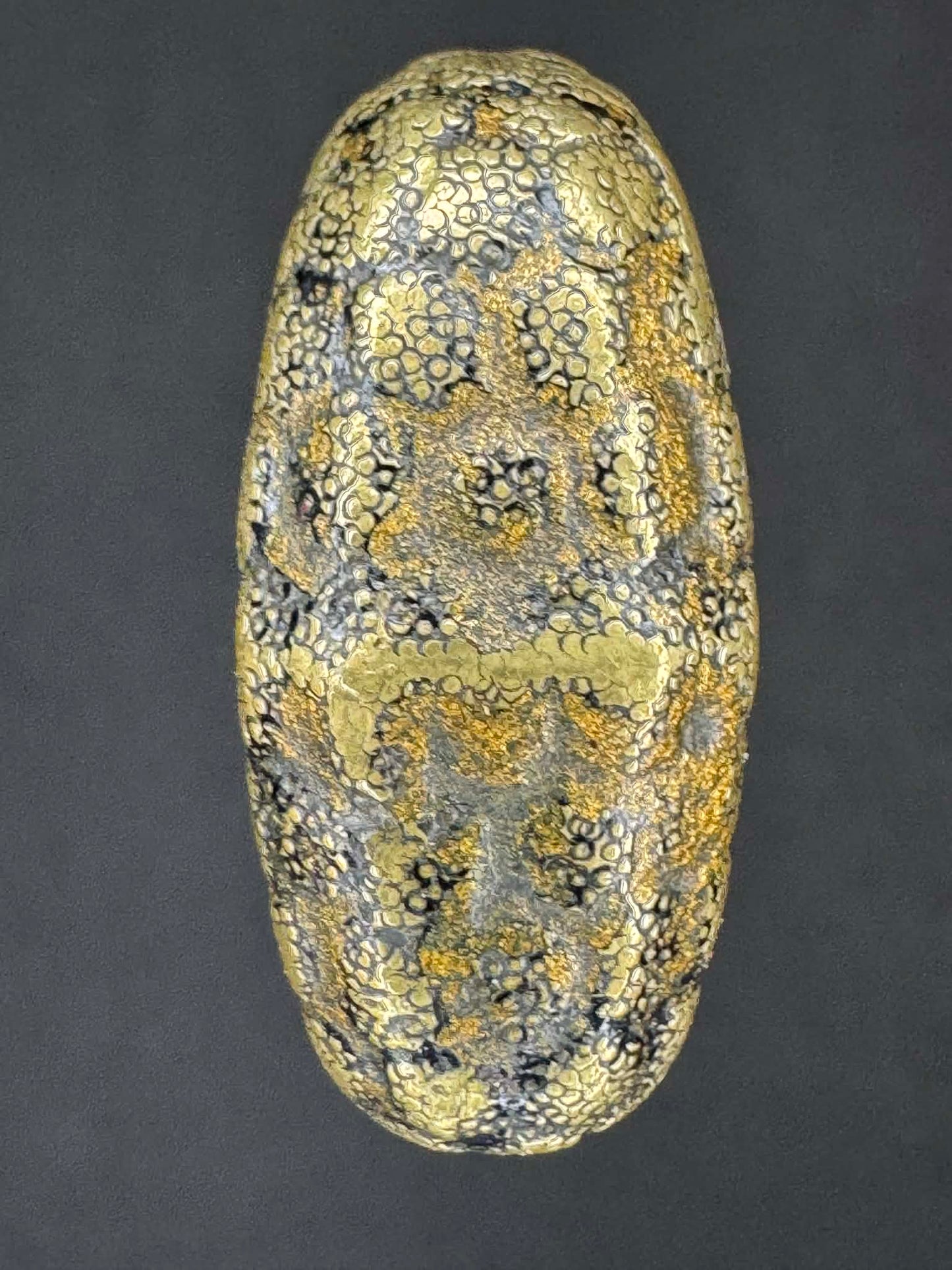 Antique Nihonto -  Katana in Koshirae