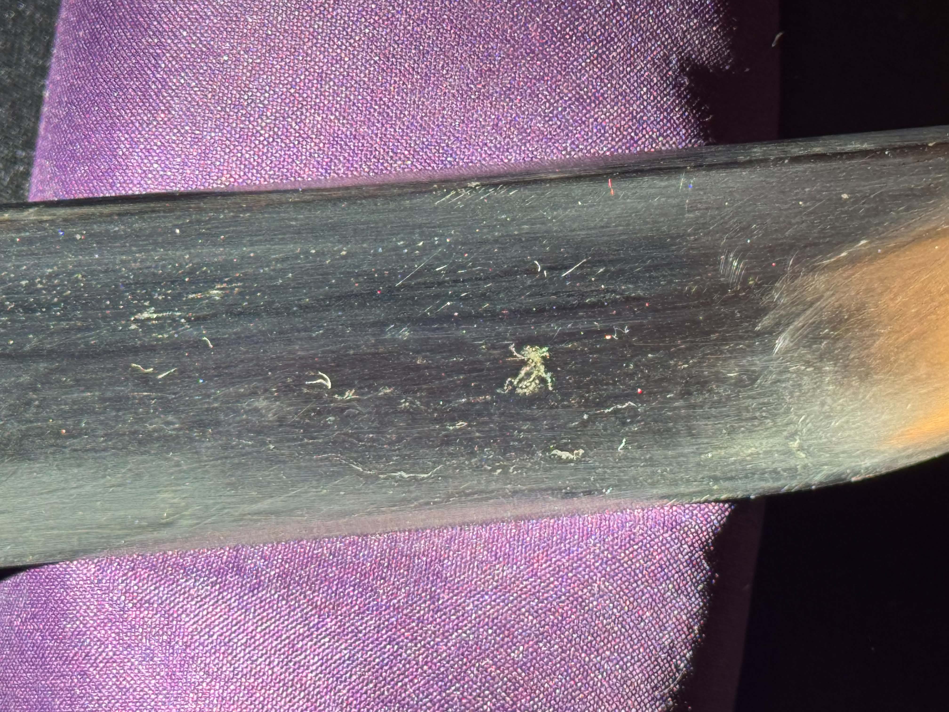 Antique Nihonto - LONG VERY WIDE Katana in Koshirae