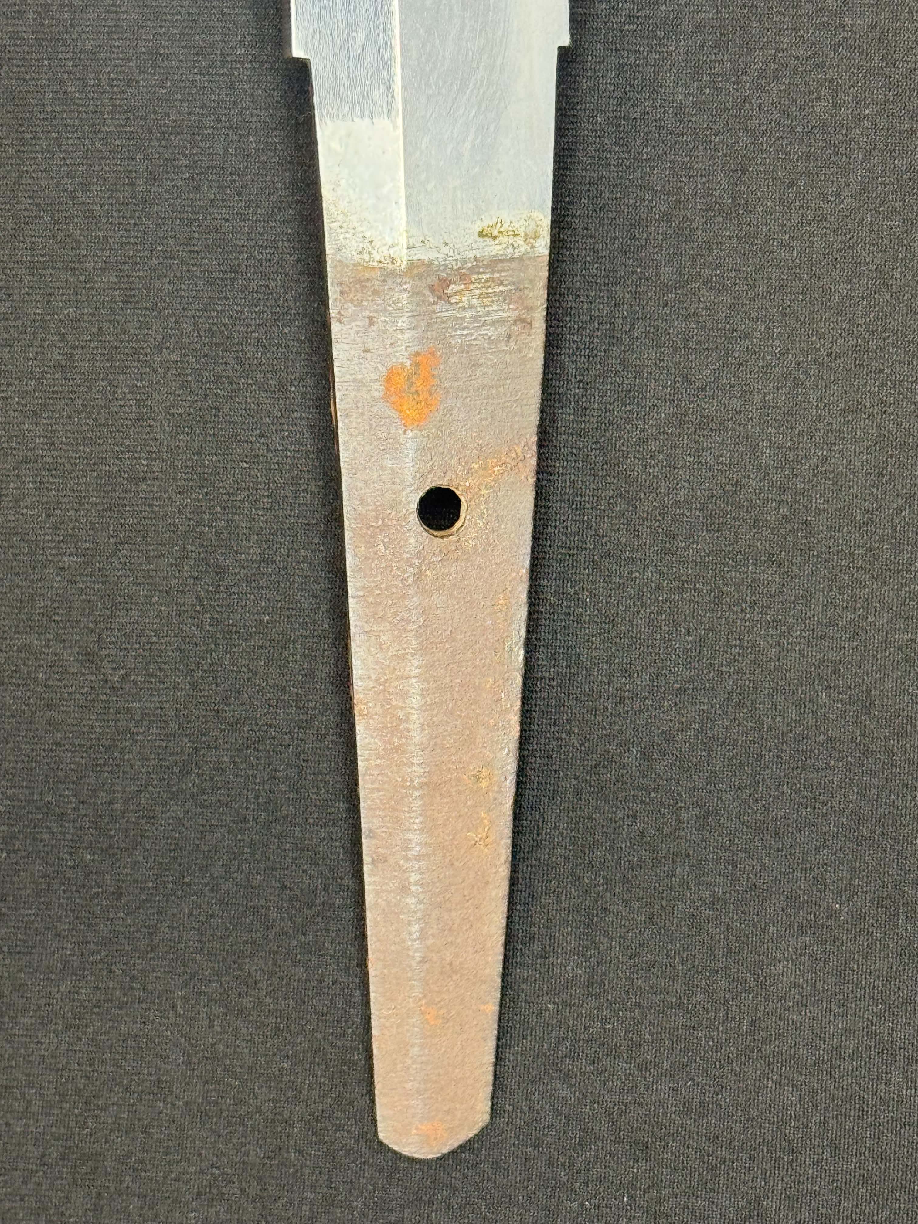 Antique Nihonto - Wakizashi in Koshirae