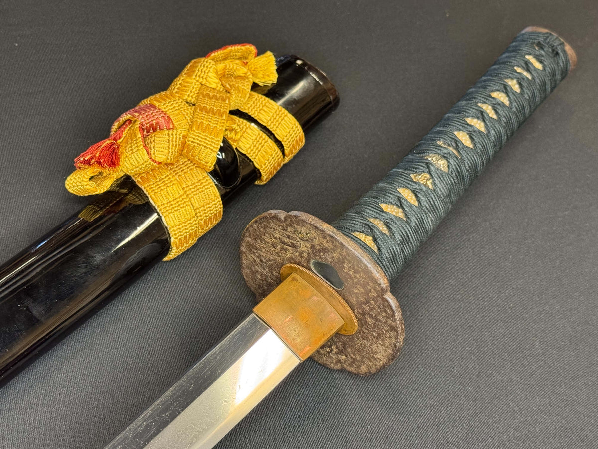 Antique Nihonto - Early Edo Katana in Koshirae, NBTHK attributed to Yamato No Kami Tadayuki, Dated Kyohou 6