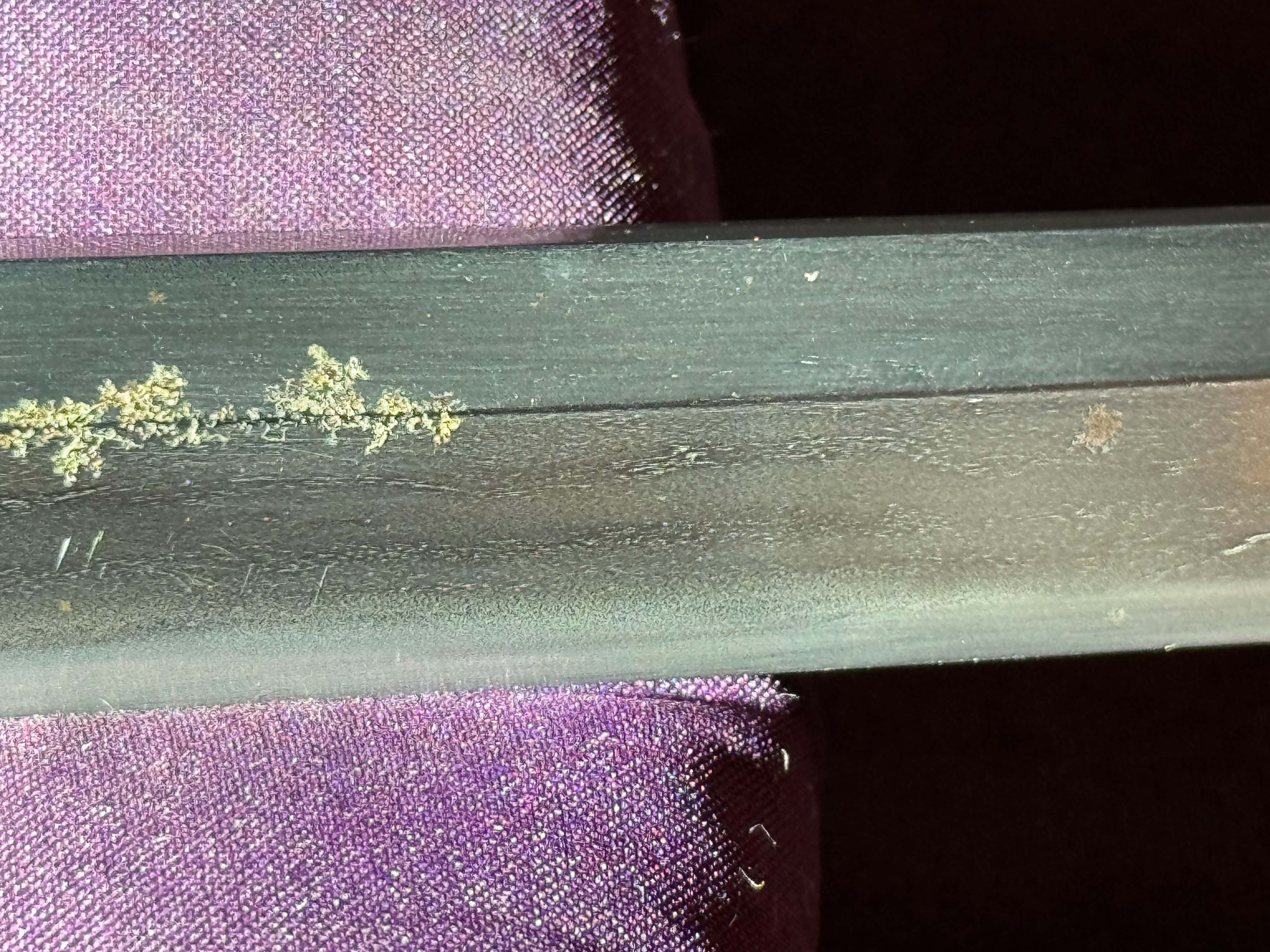 Antique Nihonto - Late Edo (150 years old) LONG Katana in Shirasaya - Signed Shohoken Yoshiyuki , NBTHK certified