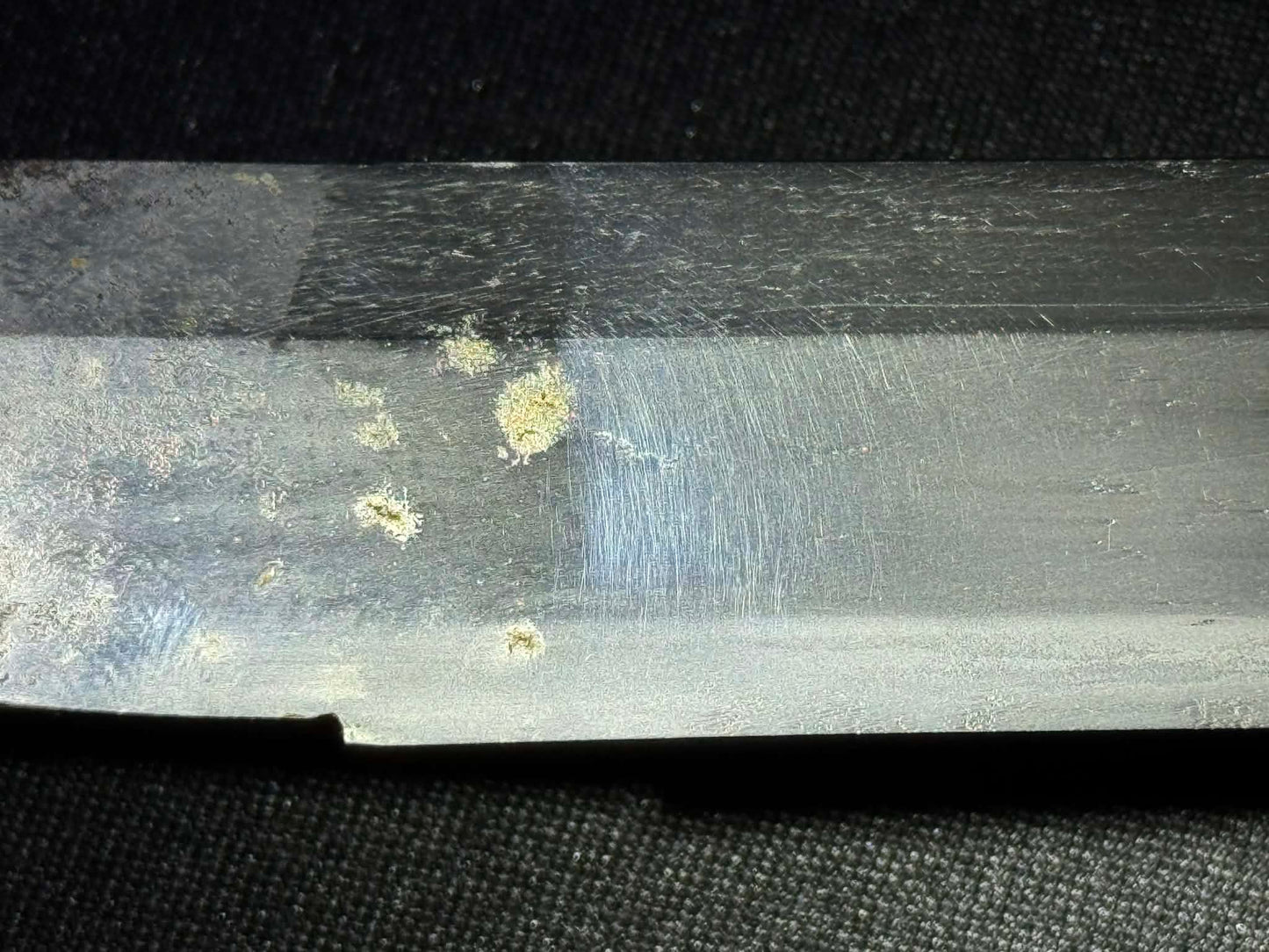 Antique Nihonto - Shobu Wakizashi in Koshirae