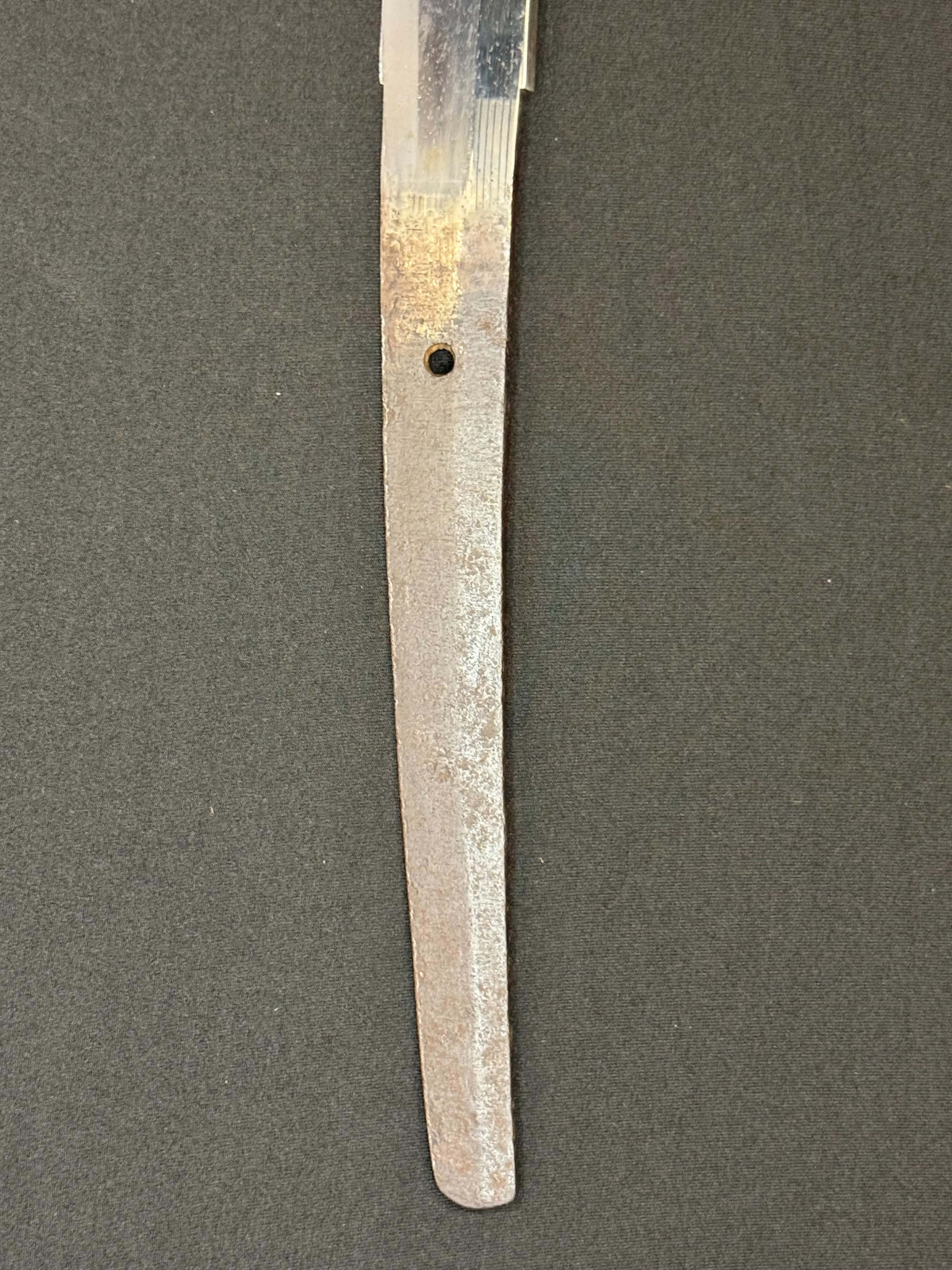 Antique Nihonto - HUGE Katana in Handachi Koshirae - Early Muromachi (600 years old) - NBTHK Attributed to Latter Hoju