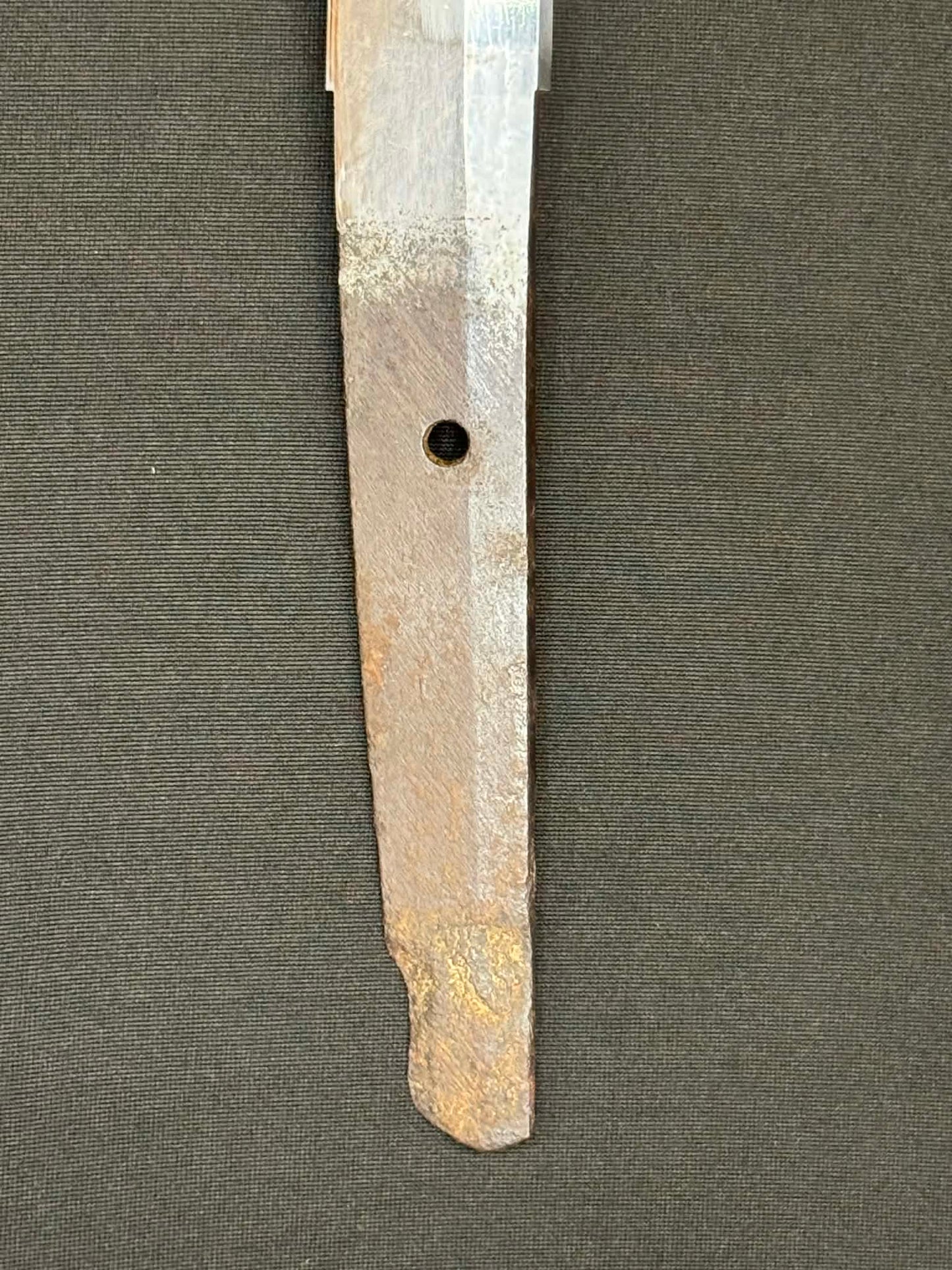 Antique Nihonto - Wakizashi in Plum Koshirae
