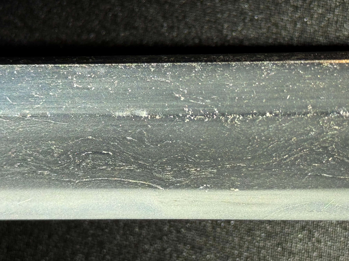 Antique Nihonto - HUGE Katana in Handachi Koshirae - Early Muromachi (600 years old) - NBTHK Attributed to Latter Hoju