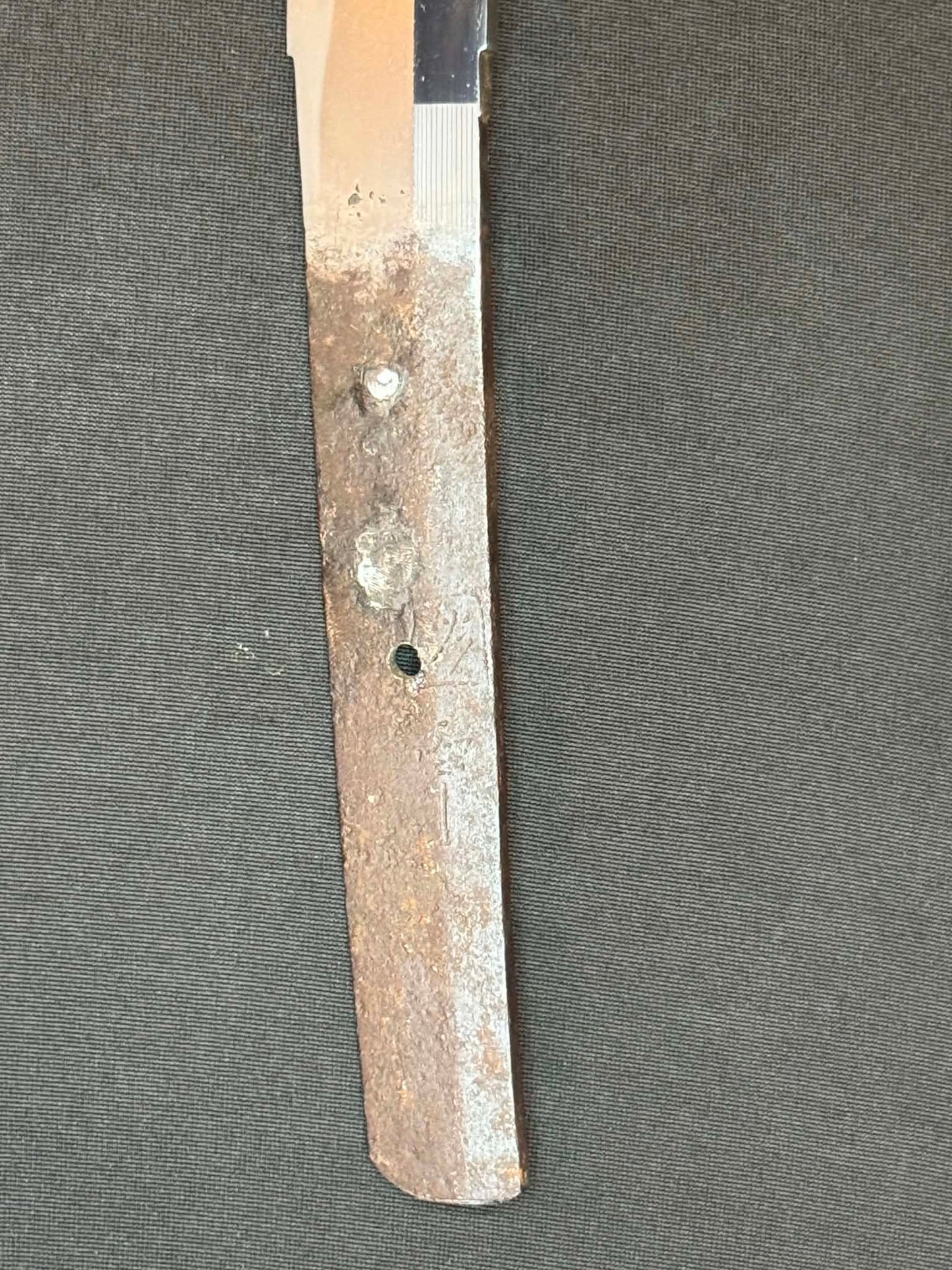 Antique Nihonto - Possible BATTLE DAMAGE Katana in Tachi Koshirae, signed Kunimune (unverified)