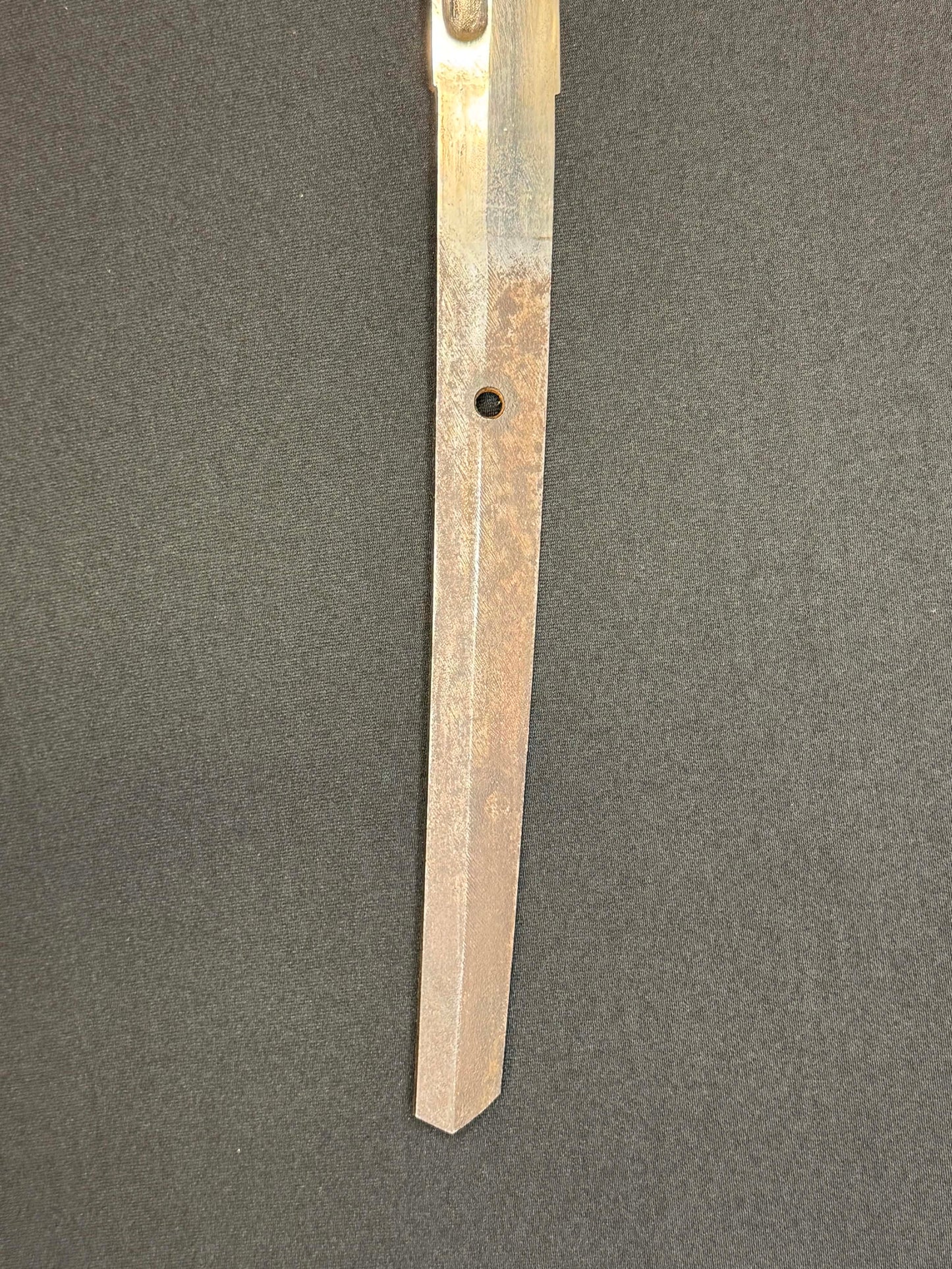 Antique Nihonto - VERY LONG, VERY CURVED Katana in Tachi Koshirae with SAIHA HAGIRE