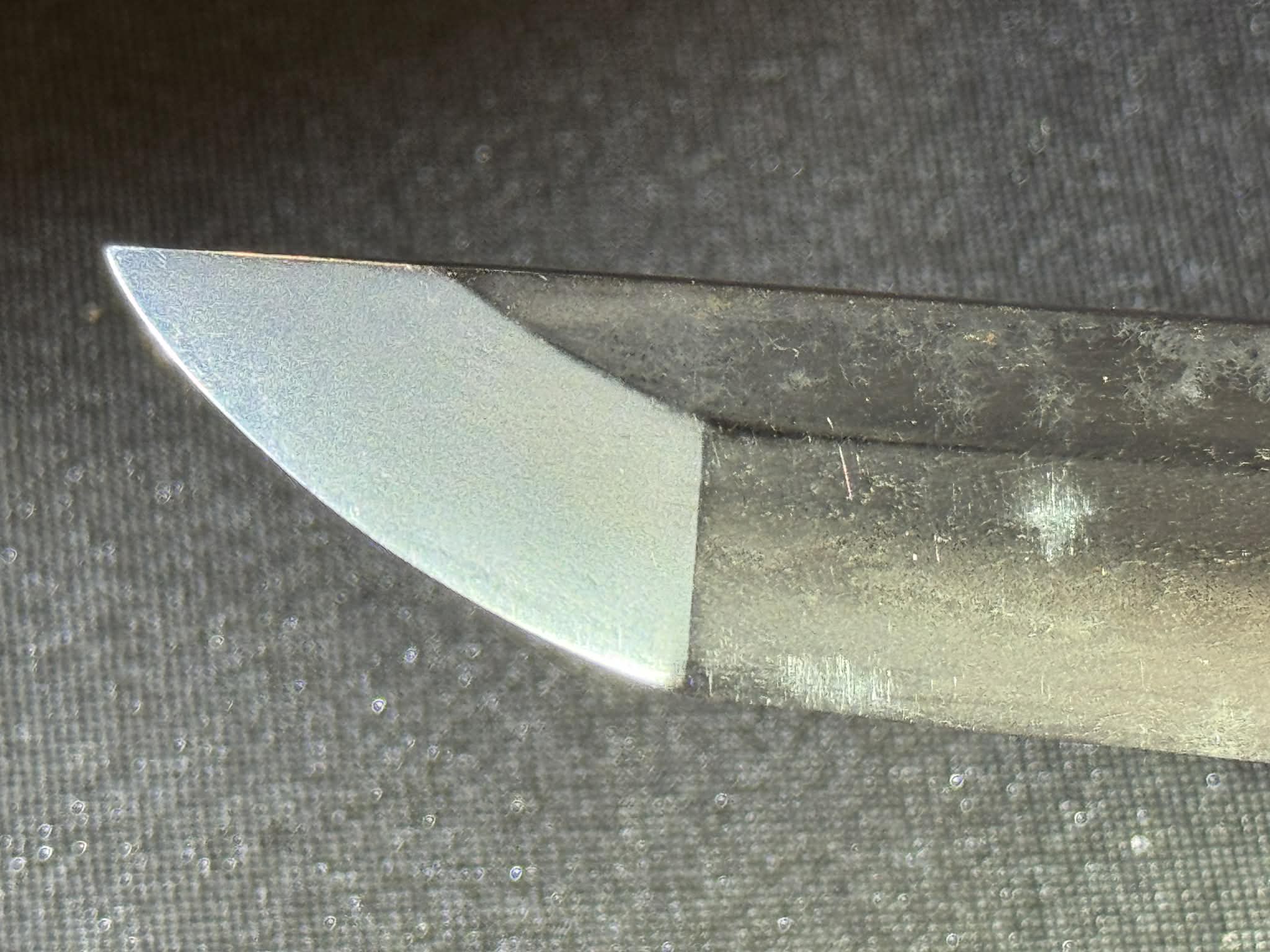 Antique Nihonto - Wakizashi in Dragon Koshirae