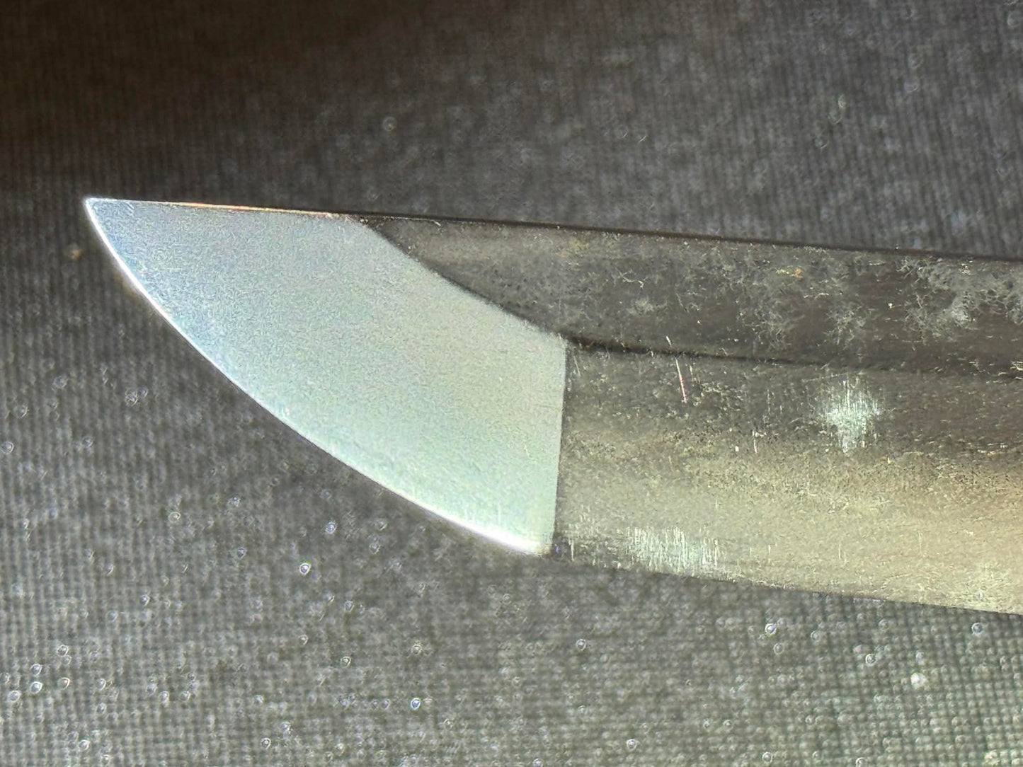 Antique Nihonto - Wakizashi in Dragon Koshirae