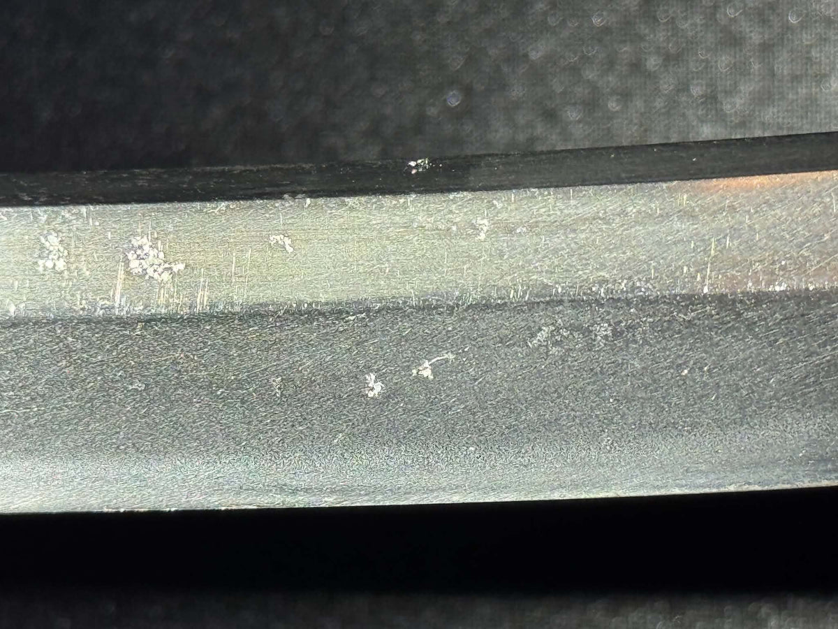 Antique Nihonto - THICCC Wakizashi in Koshirae, signed Ashu Kaifu Ju Ujiyoshi, NBTHK Certified