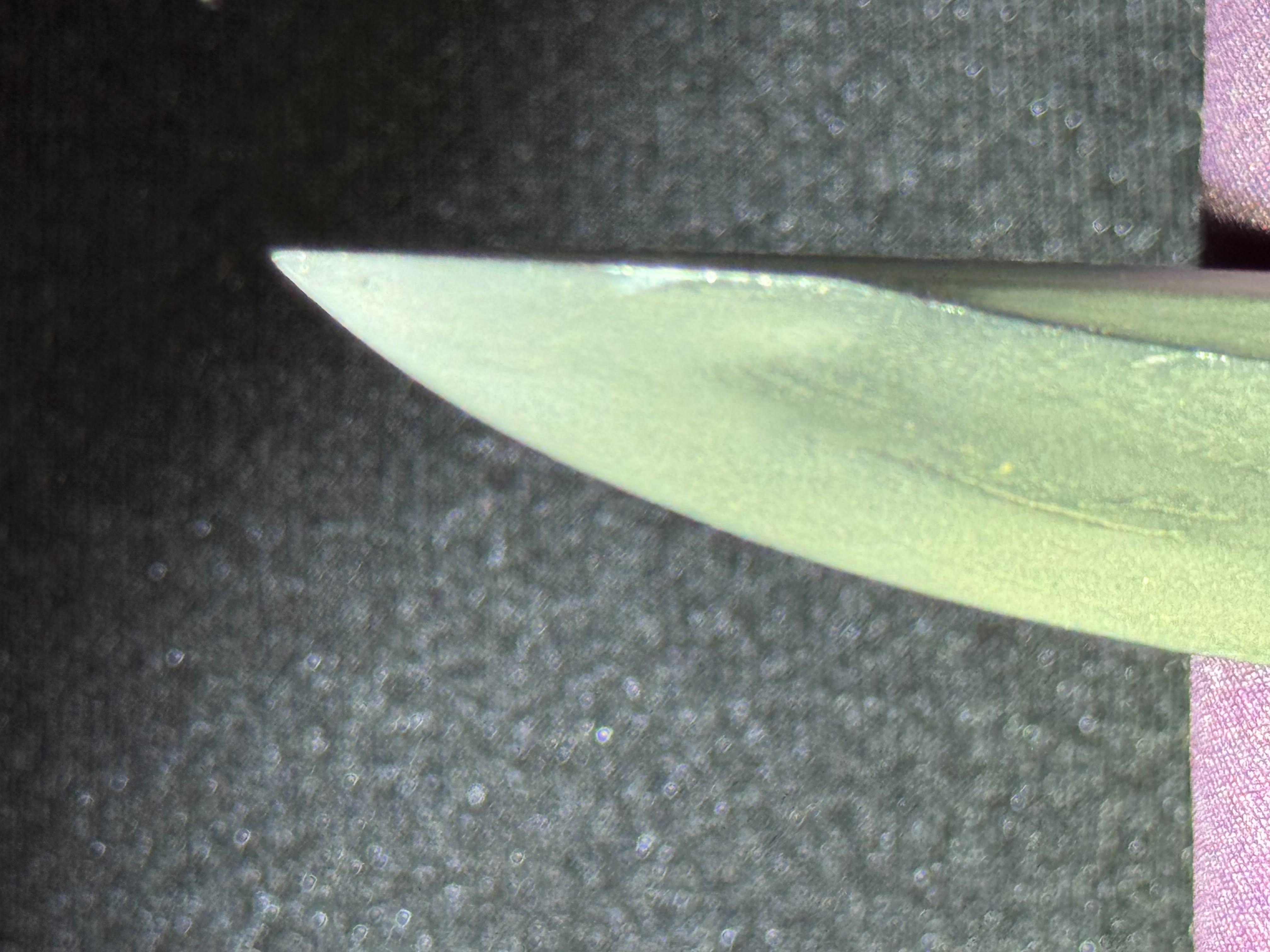 Antique Nihonto - thick kikuchi yari in Shirasaya, NBTHK certified