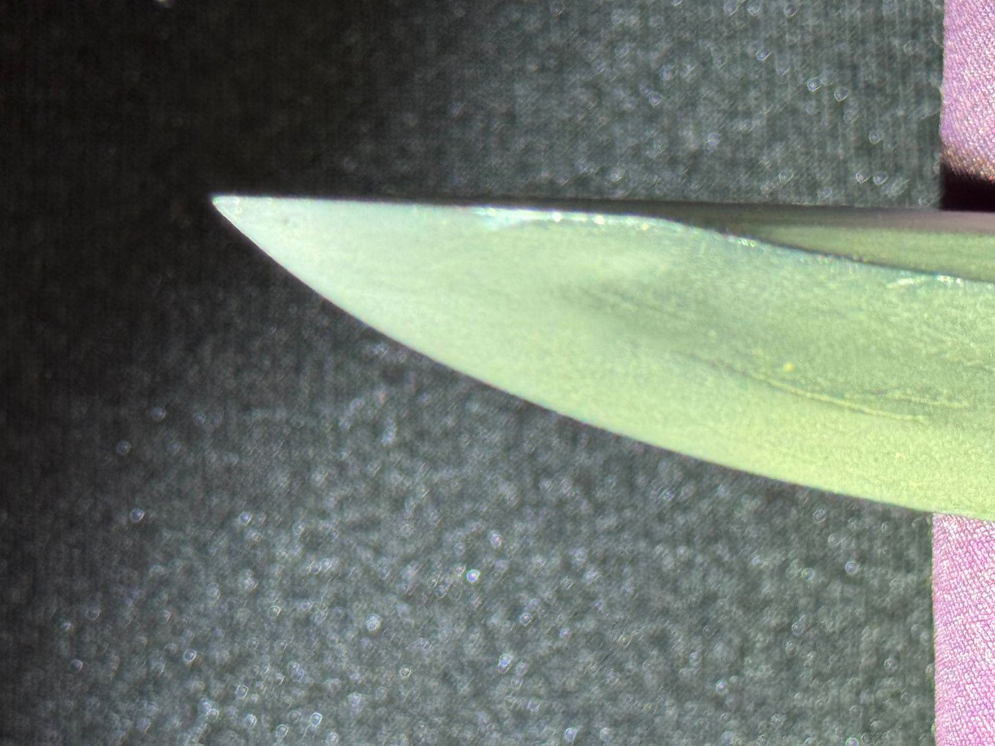 Antique Nihonto - thick kikuchi yari in Shirasaya, NBTHK certified