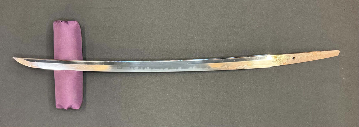 Antique Nihonto - Mid-Edo Wakizashi with Koshirae, signed Etchu no Kami Kanekuni, NBTHK certified