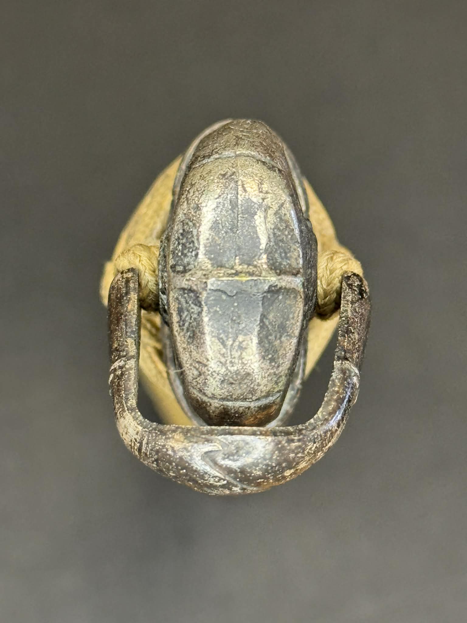 Antique Nihonto - Katana with Tachi Koshirae, NBTHK attributed to Echizen Seki