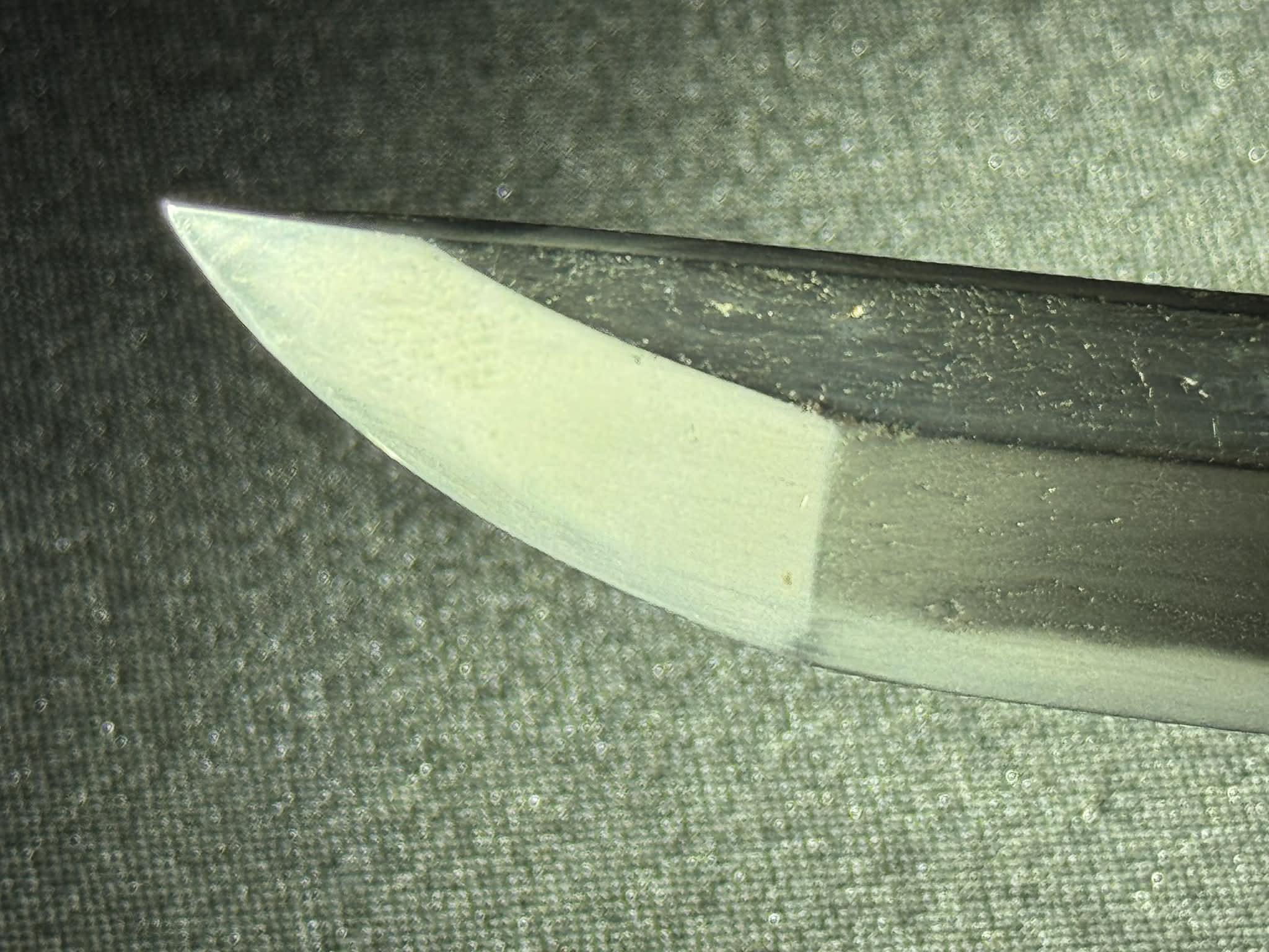 Antique Nihonto - Wakizashi in Shirasaya