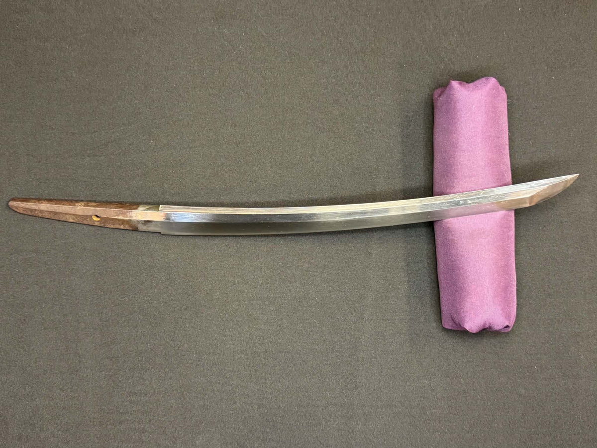 Antique Nihonto - THICCC Wakizashi in Koshirae, signed Ashu Kaifu Ju Ujiyoshi, NBTHK Certified