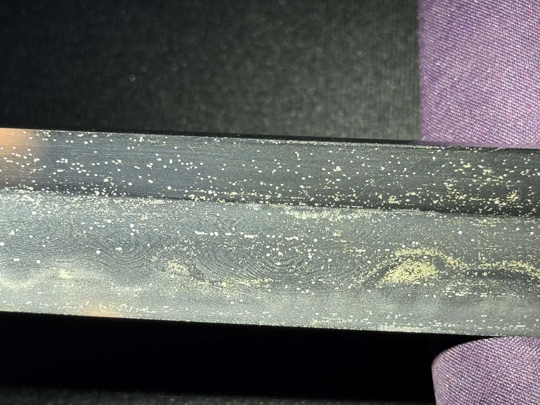 Antique Nihonto -  Katana in Koshirae - Signed Kunishige, First Year of Bunkyu (certified by NBTHK and NTHK)