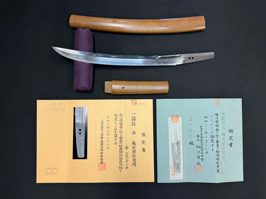 Antique Nihonto - Naginata Naoshi Wakizashi in Shirasaya - signed Echizen Kuni Ju Kanenori, NBTHK certified