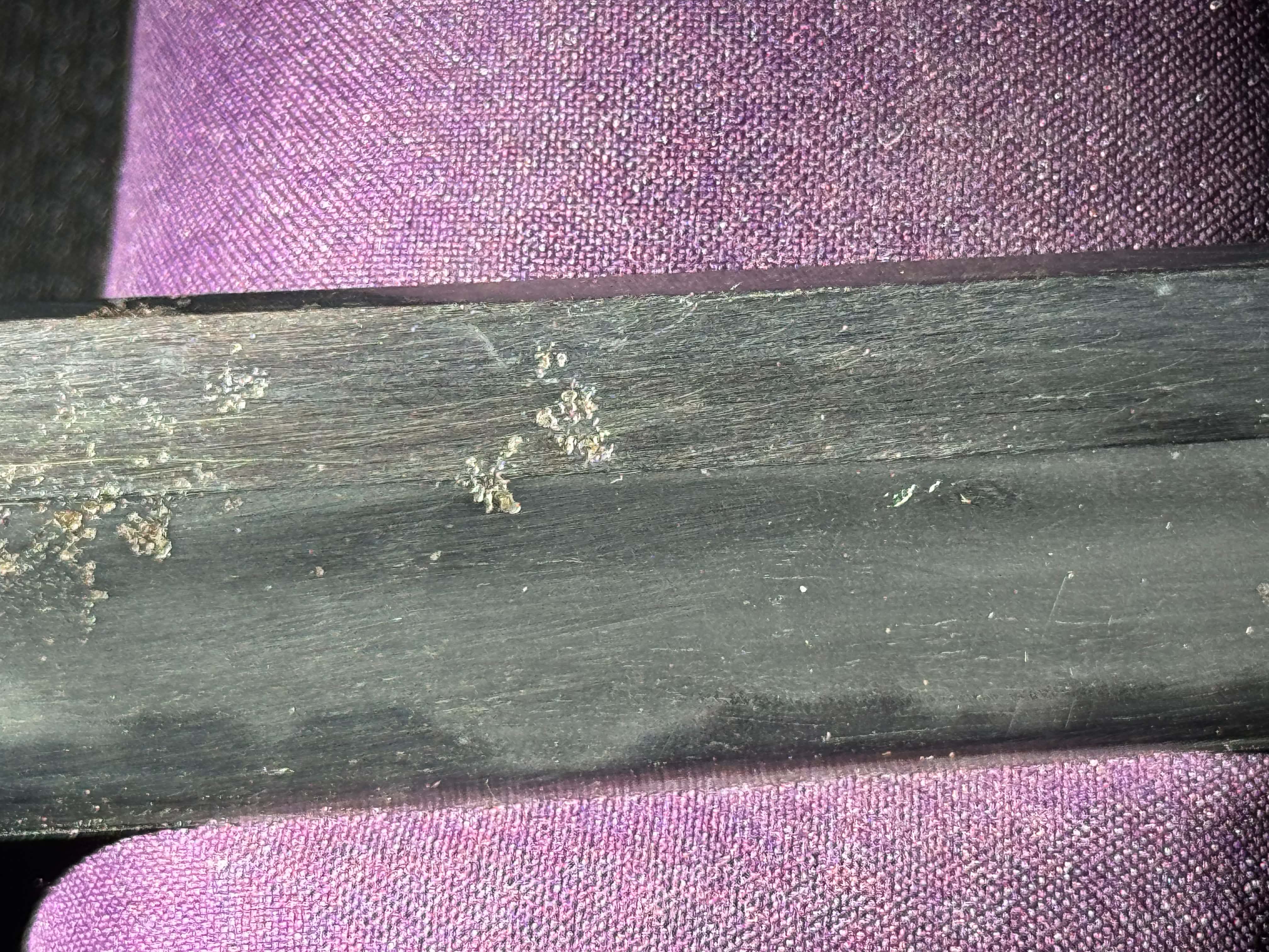 Antique Nihonto - Katateuchi Katana in Koshirae