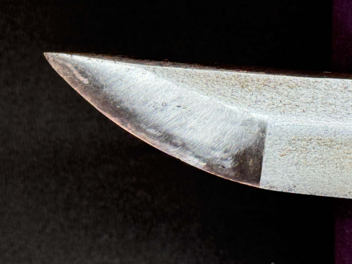 Antique Nihonto - Late Edo Wakizashi  with Shikomizue mounts (Stick Sword)