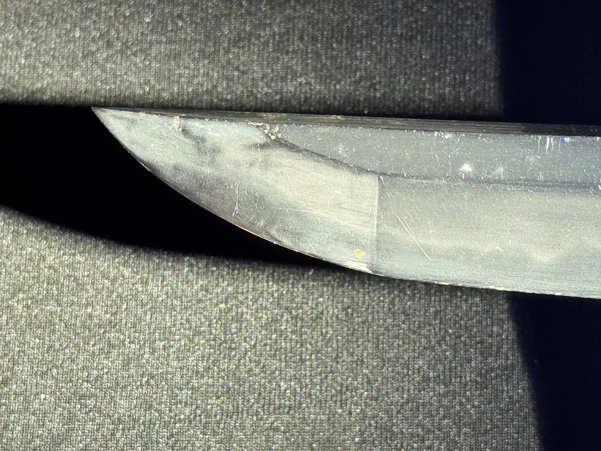 Antique Nihonto - Mid-Edo Wakizashi with Koshirae, signed Etchu no Kami Kanekuni, NBTHK certified