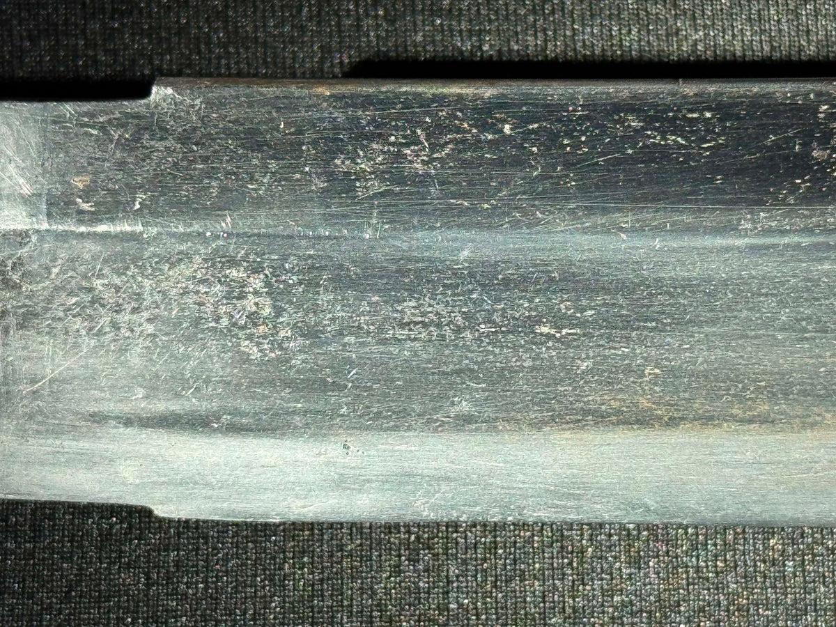Antique Nihonto - WIDE Naginata Naoshi Wakizashi in Koshirae, signed Chikushu Ju Sa (unverified)
