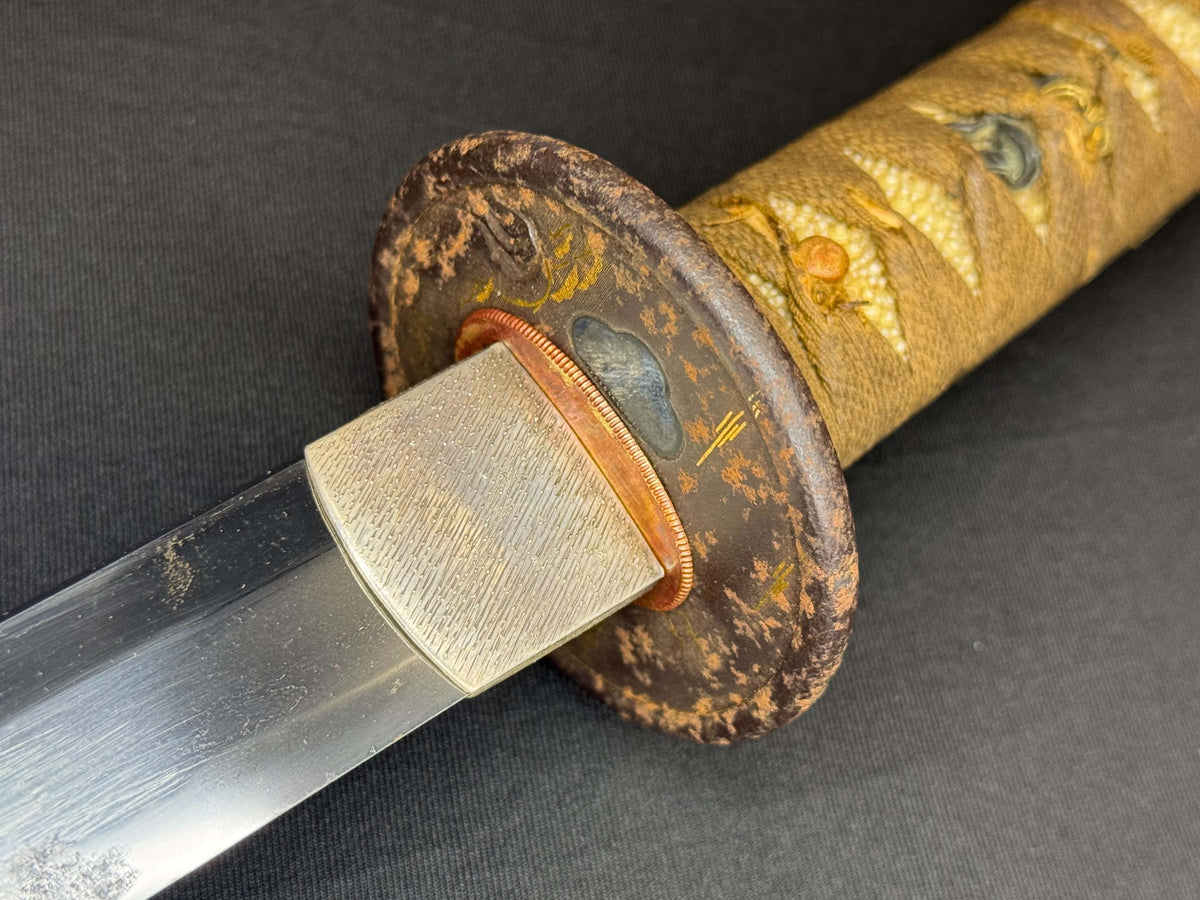 Antique Nihonto - Mid-Edo Wakizashi with Koshirae, signed Etchu no Kami Kanekuni, NBTHK certified