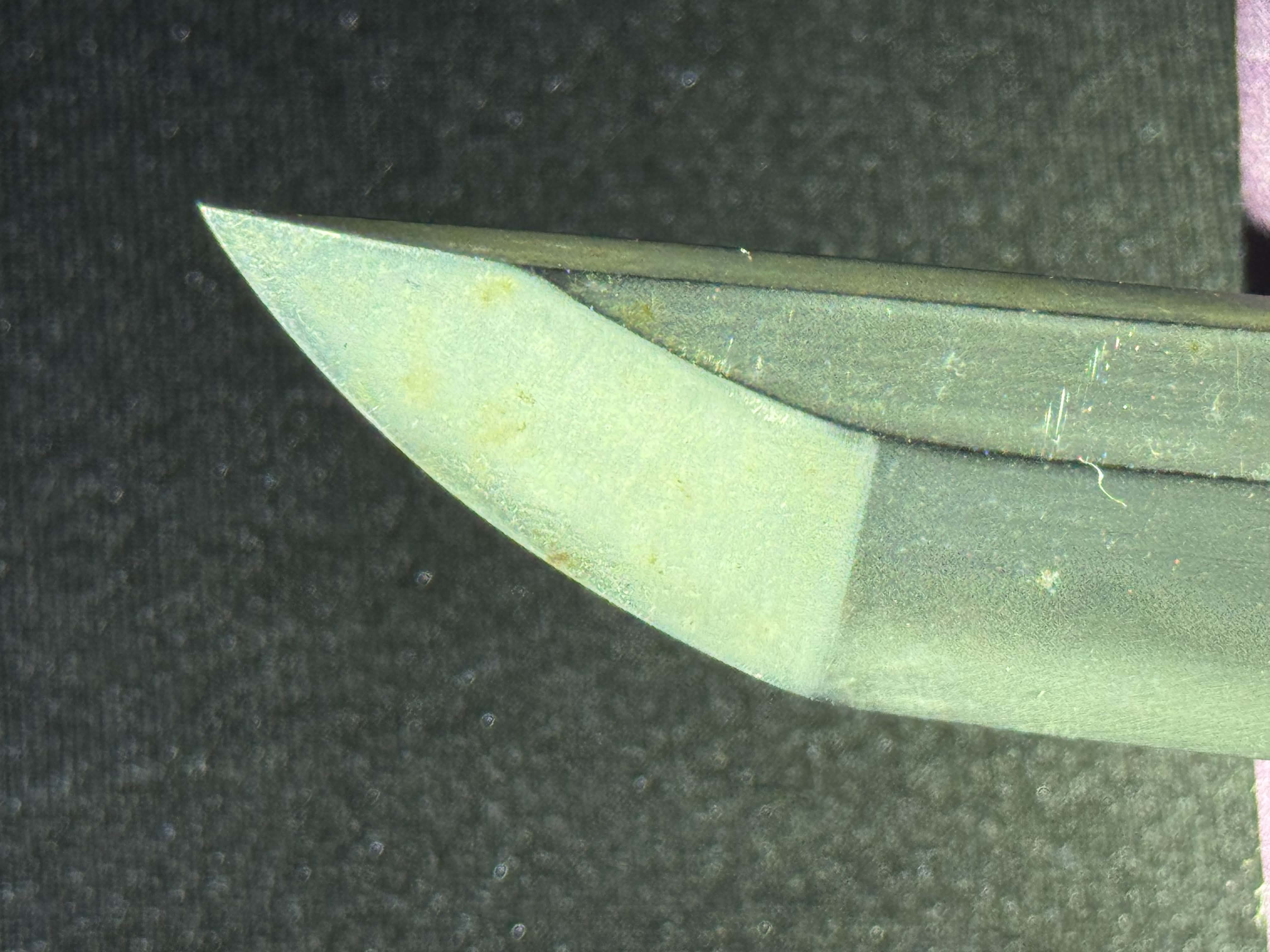 Antique Nihonto - Early Edo Wakizashi in Handachi Koshirae