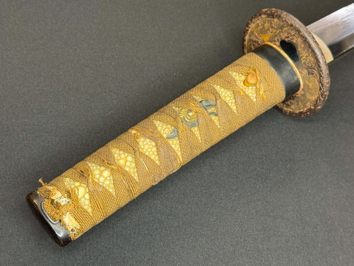 Antique Nihonto - Mid-Edo Wakizashi with Koshirae, signed Etchu no Kami Kanekuni, NBTHK certified