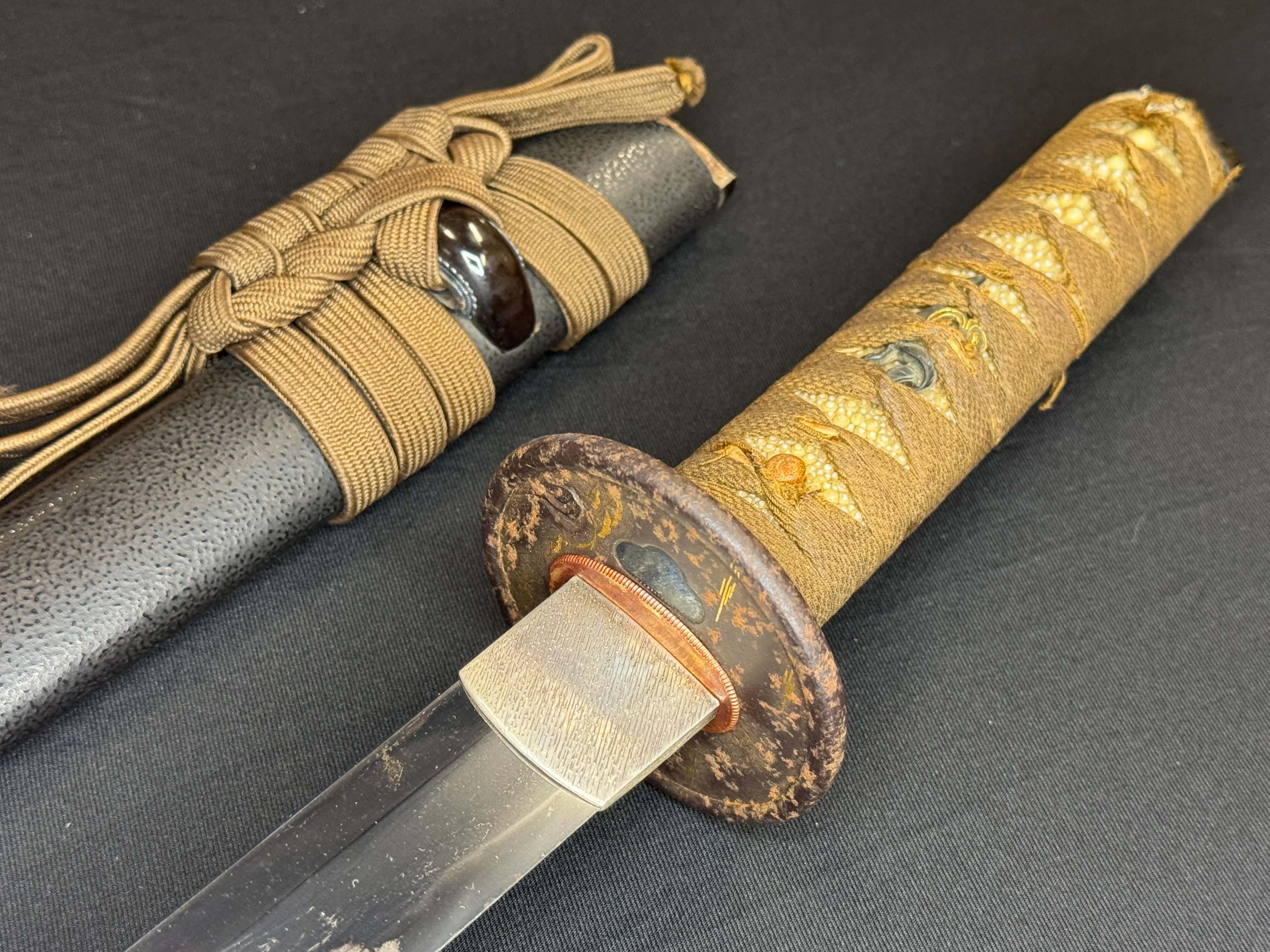Antique Nihonto - Mid-Edo Wakizashi with Koshirae, signed Etchu no Kami Kanekuni, NBTHK certified