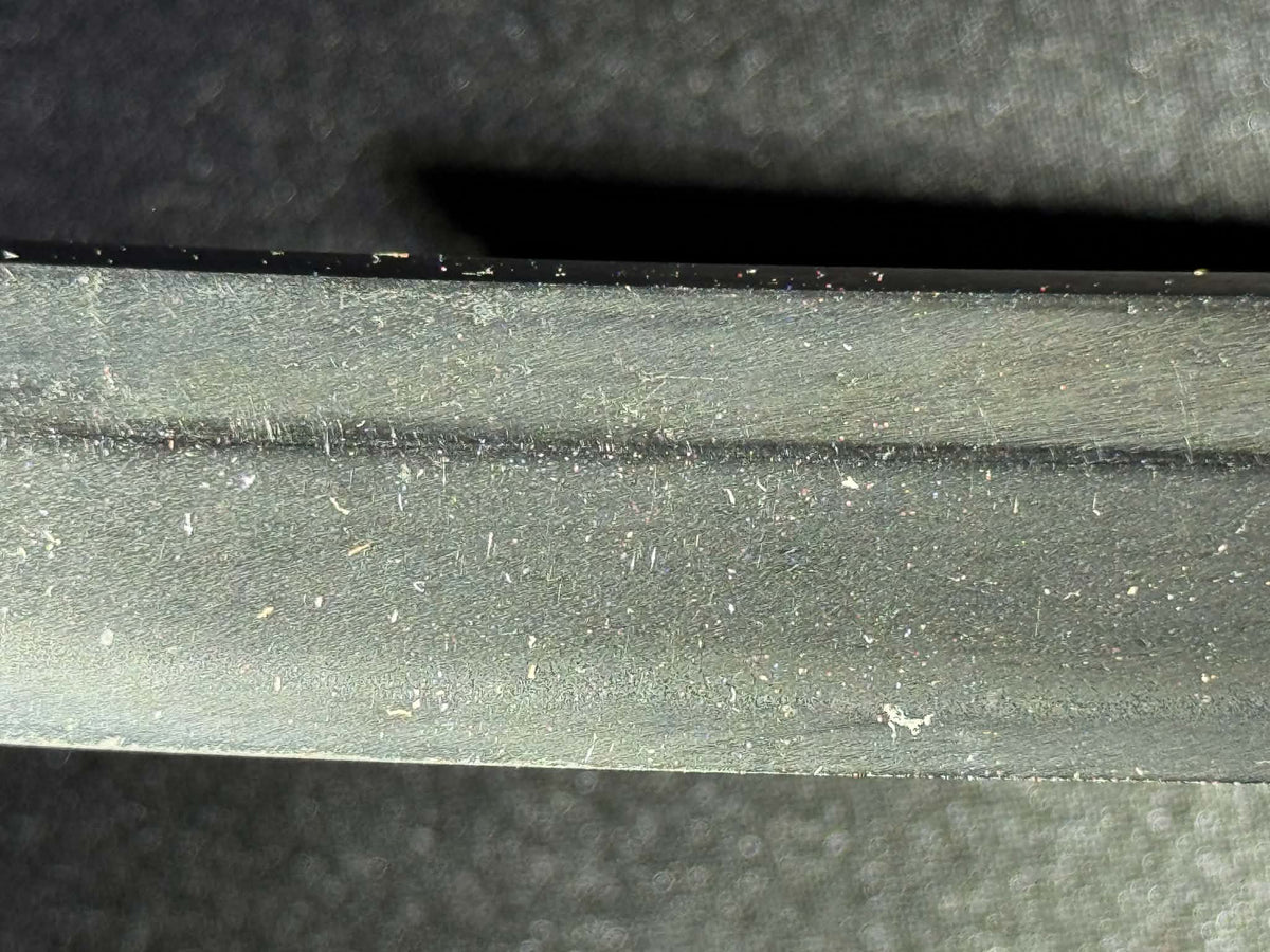 Antique Nihonto - THICCC Wakizashi in Koshirae, signed Ashu Kaifu Ju Ujiyoshi, NBTHK Certified