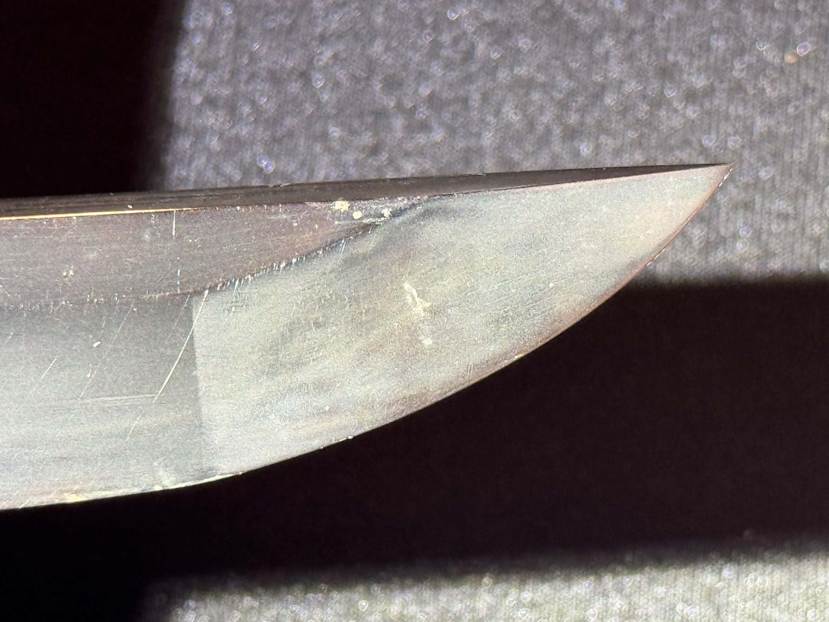 Antique Nihonto - Mid-Edo Wakizashi with Koshirae, signed Etchu no Kami Kanekuni, NBTHK certified